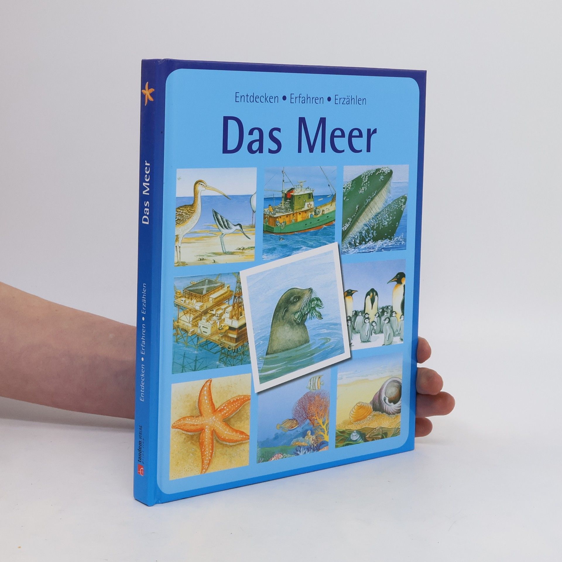 Autorenkollektiv Das Meer