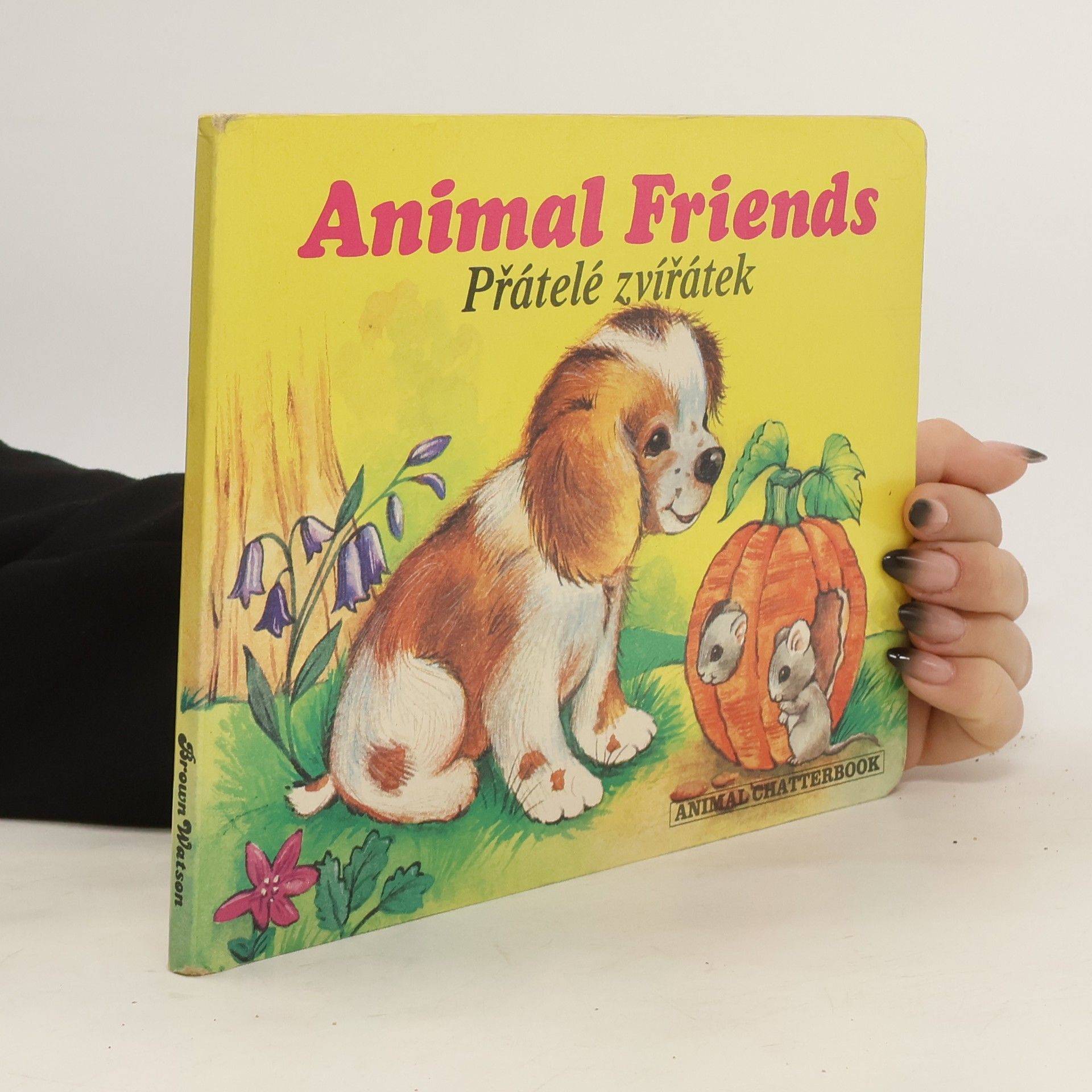 Dianne Matthes Přátelé zvířátek. Animal friends