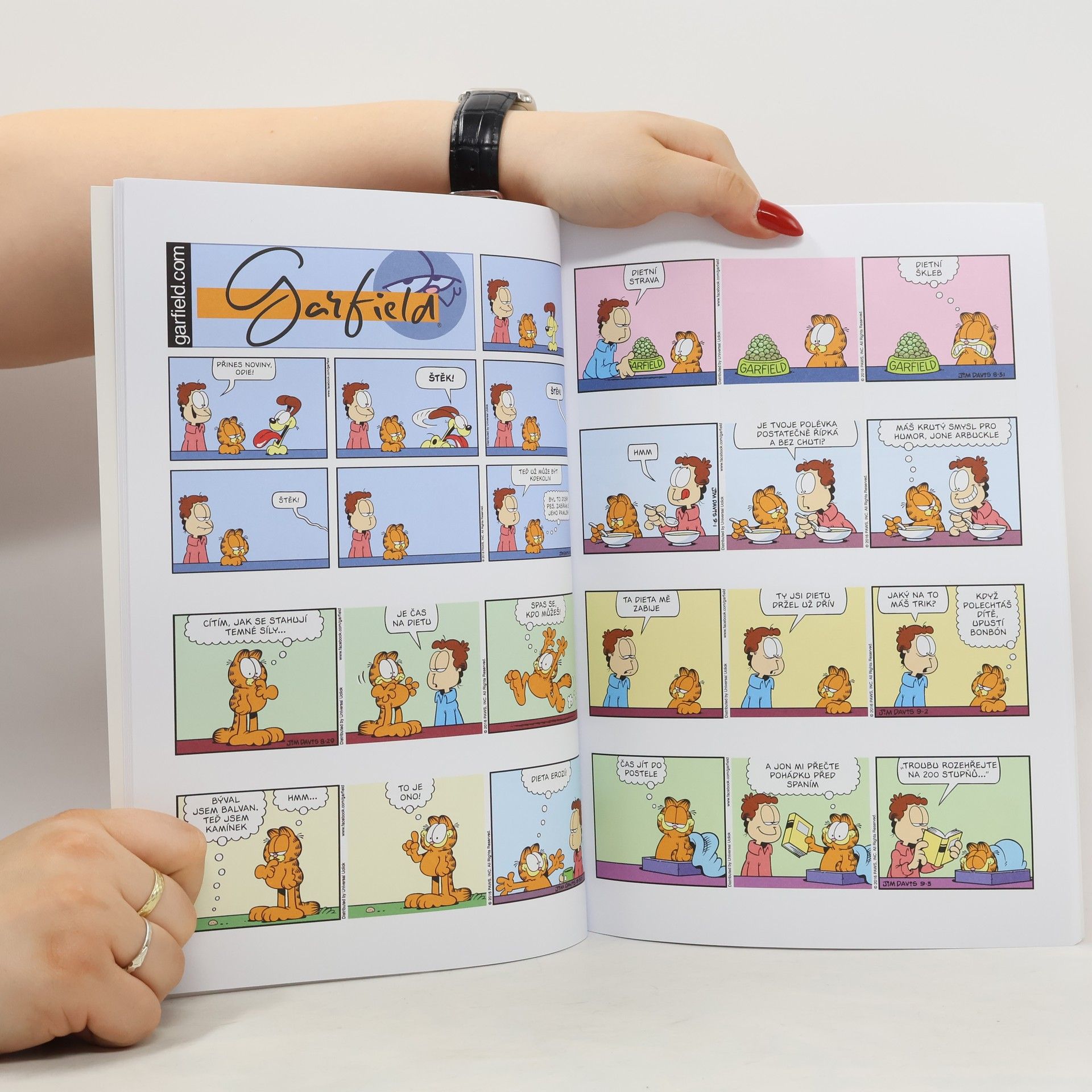 Jim Davis Garfield 64. Dort s překvapením