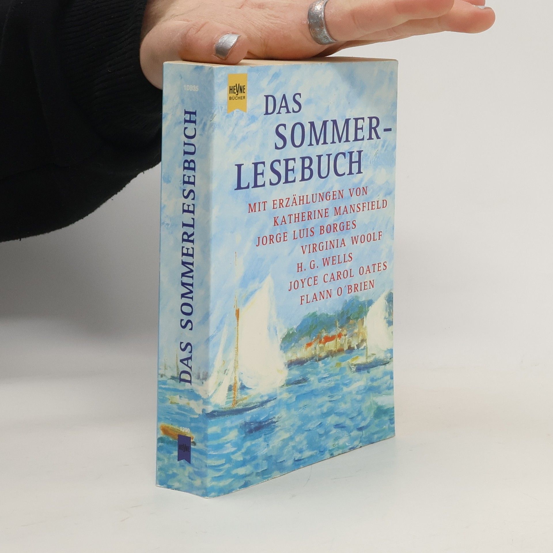 Das Sommerlesebuch
