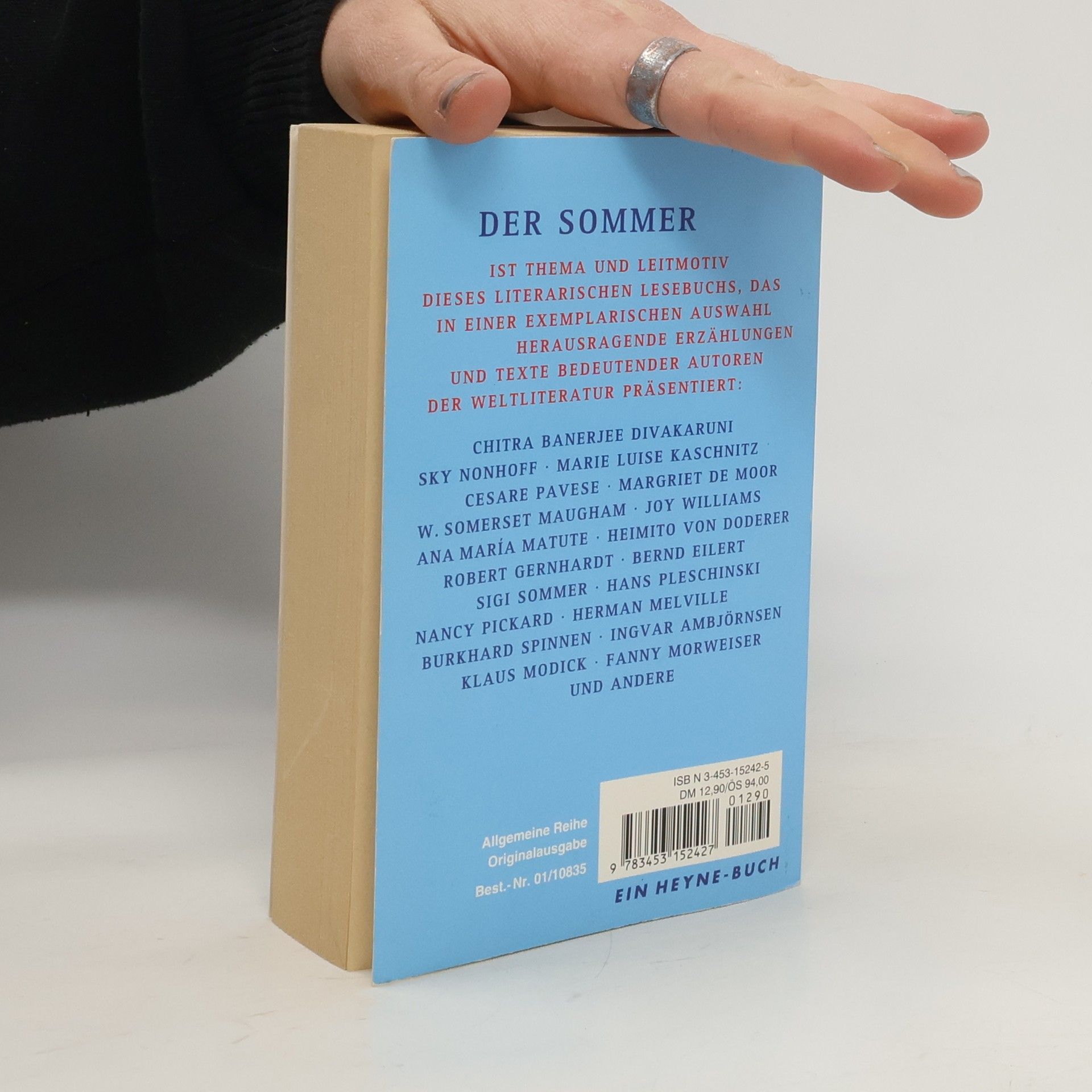 Das Sommerlesebuch
