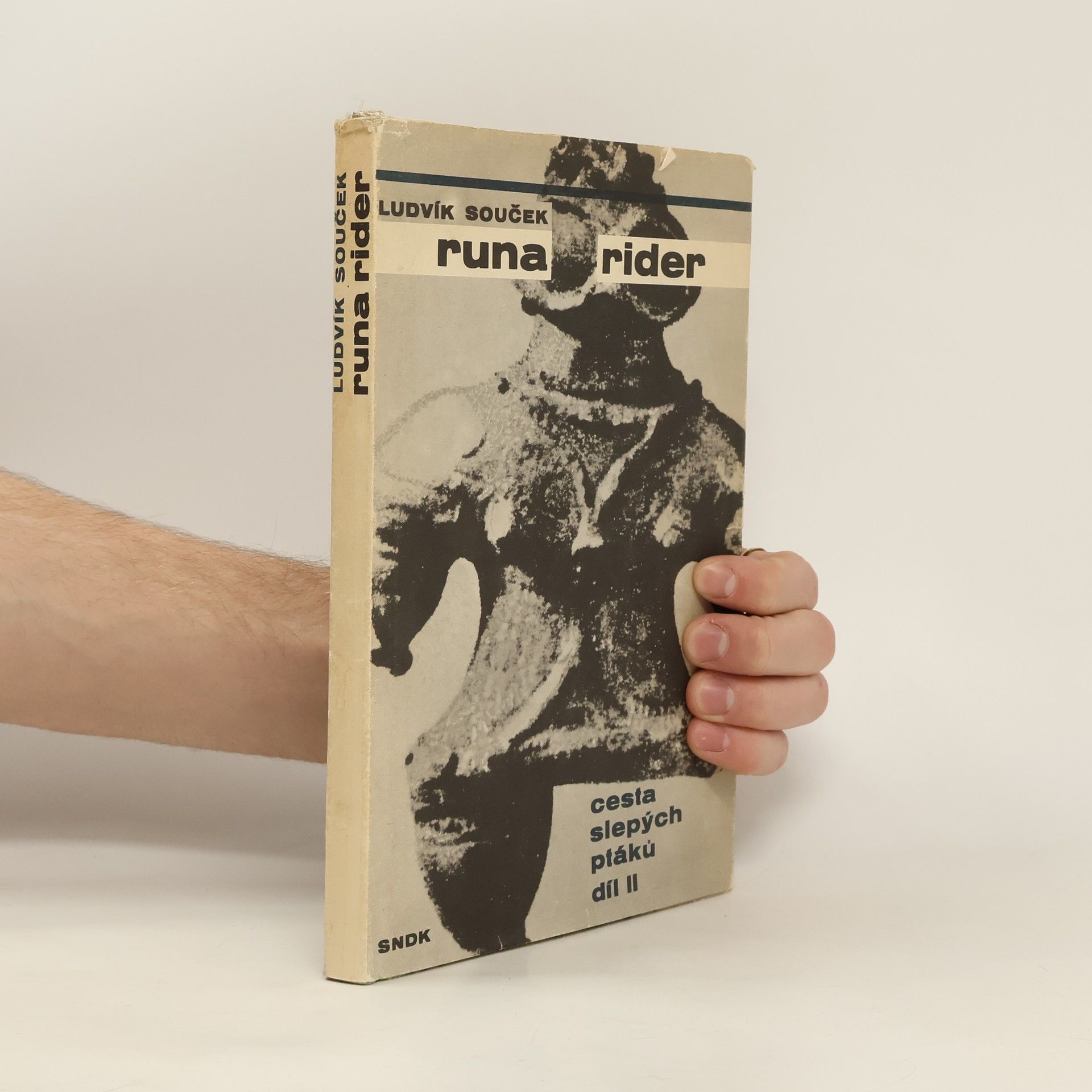 Ludvík Souček Runa rider. Cesta slepých ptáků 2