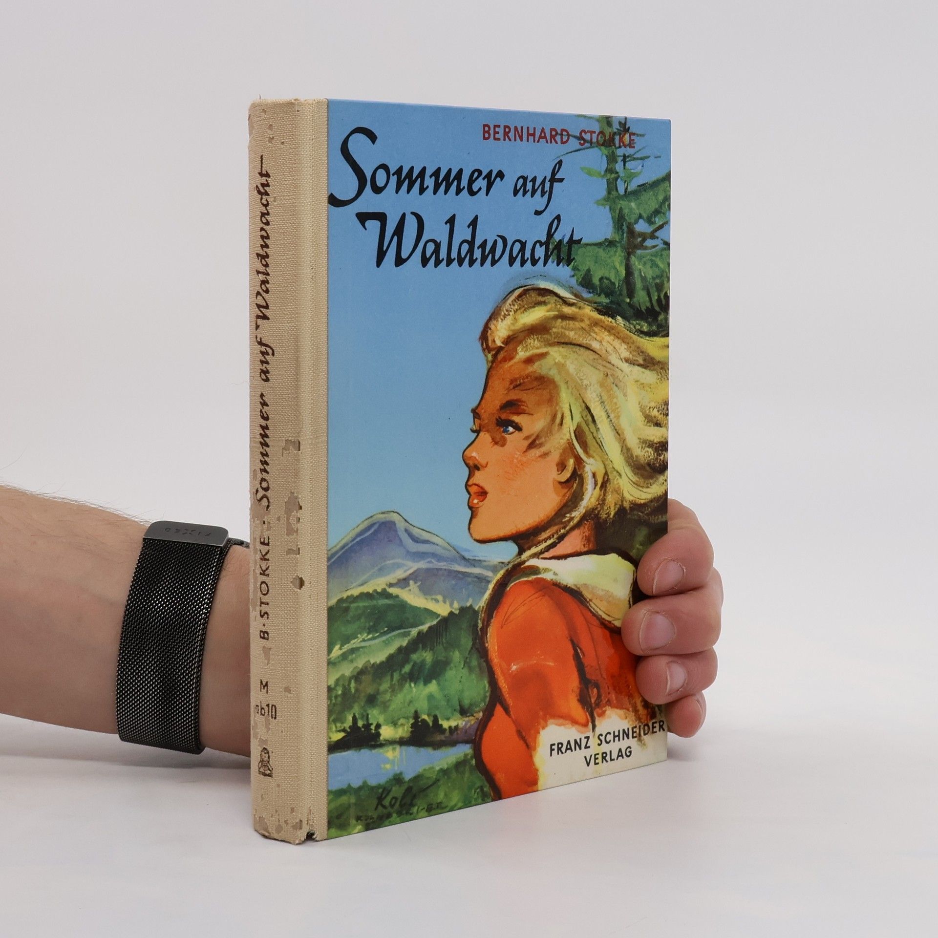Bernhard Stokke Sommer auf Waldwacht