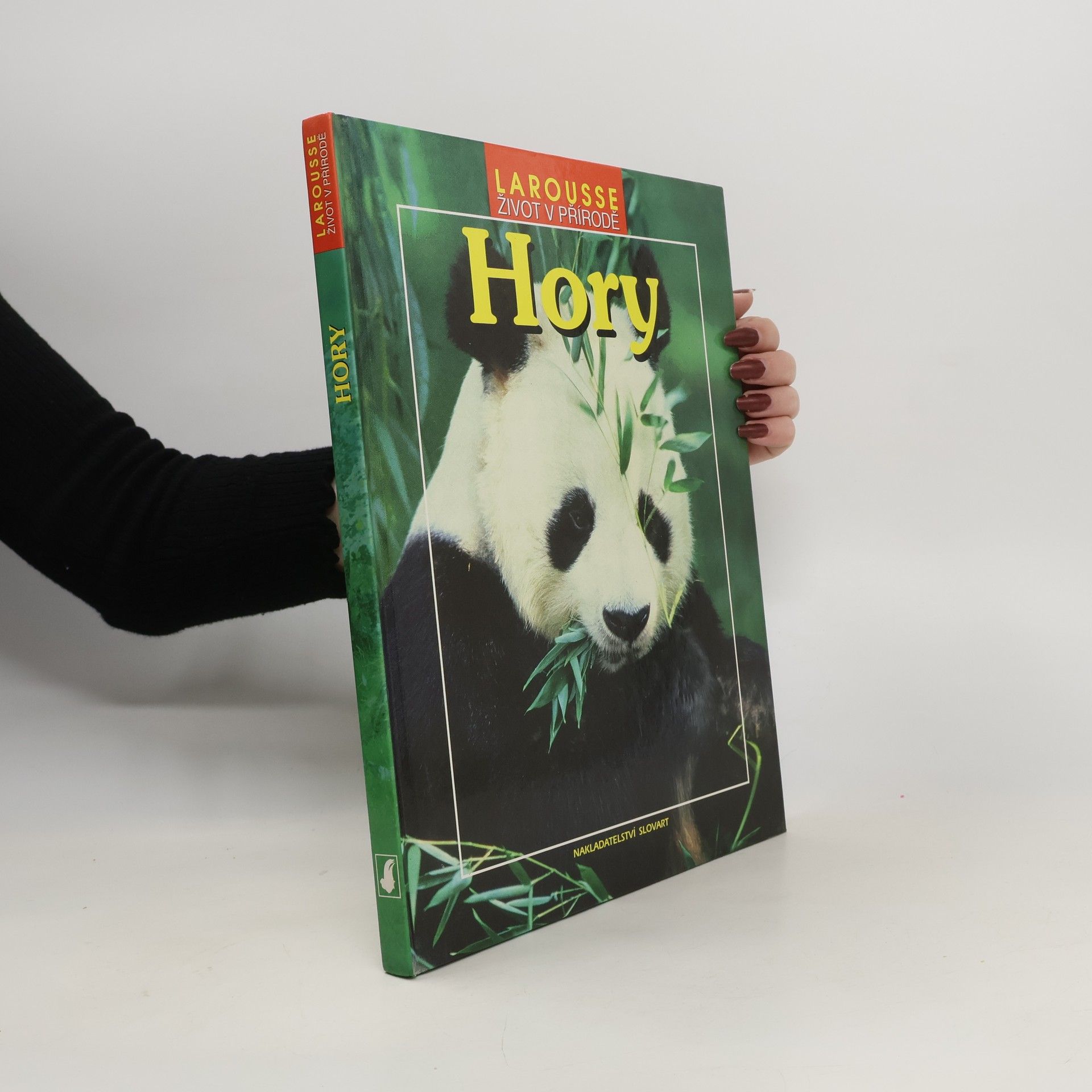 Autorenkollektiv Hory