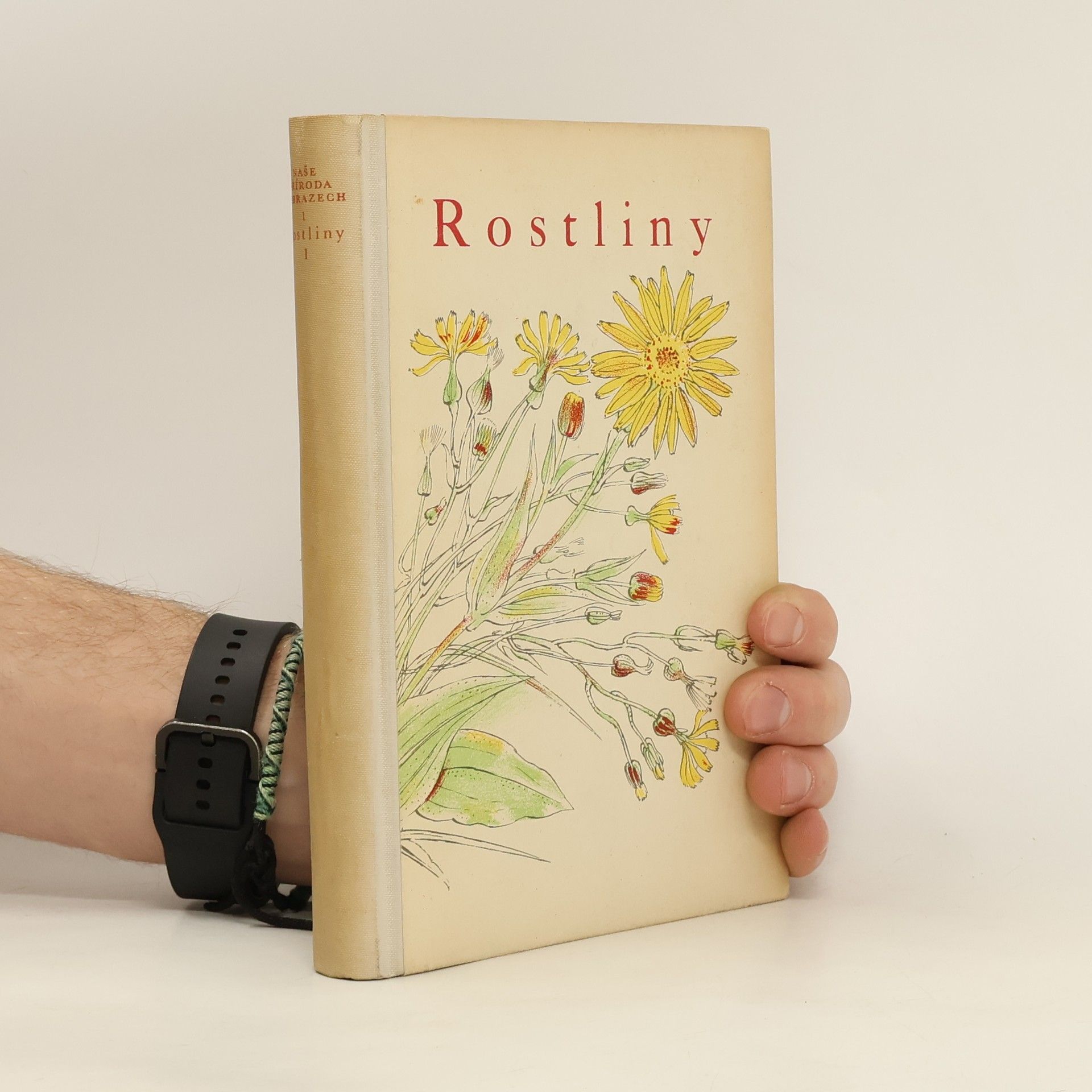 Karel Svolinský Rostliny 1. díl
