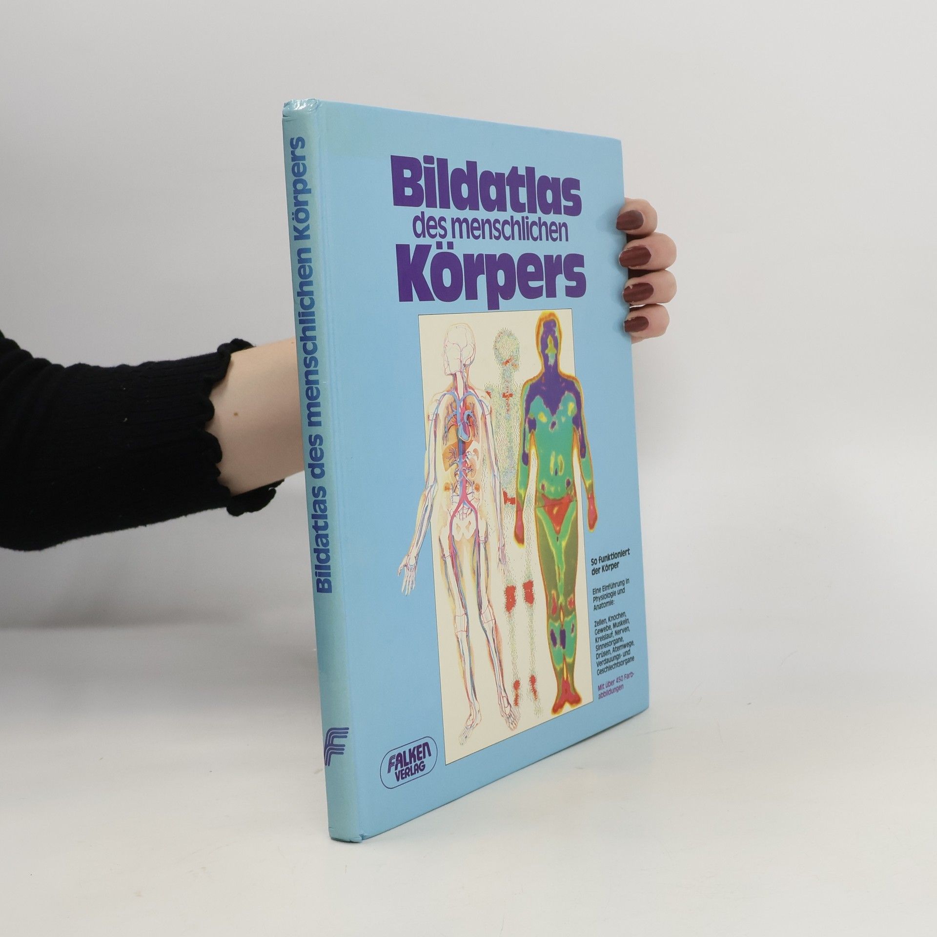 Vanio Vannini Bildatlas des menschlichen Körpers