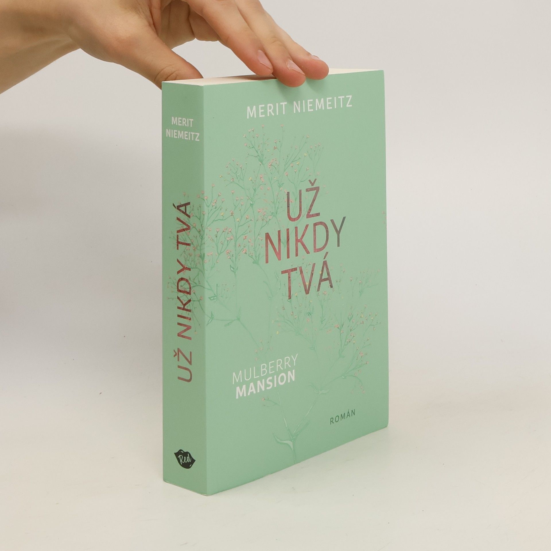 Merit Niemeitz Už nikdy tvá