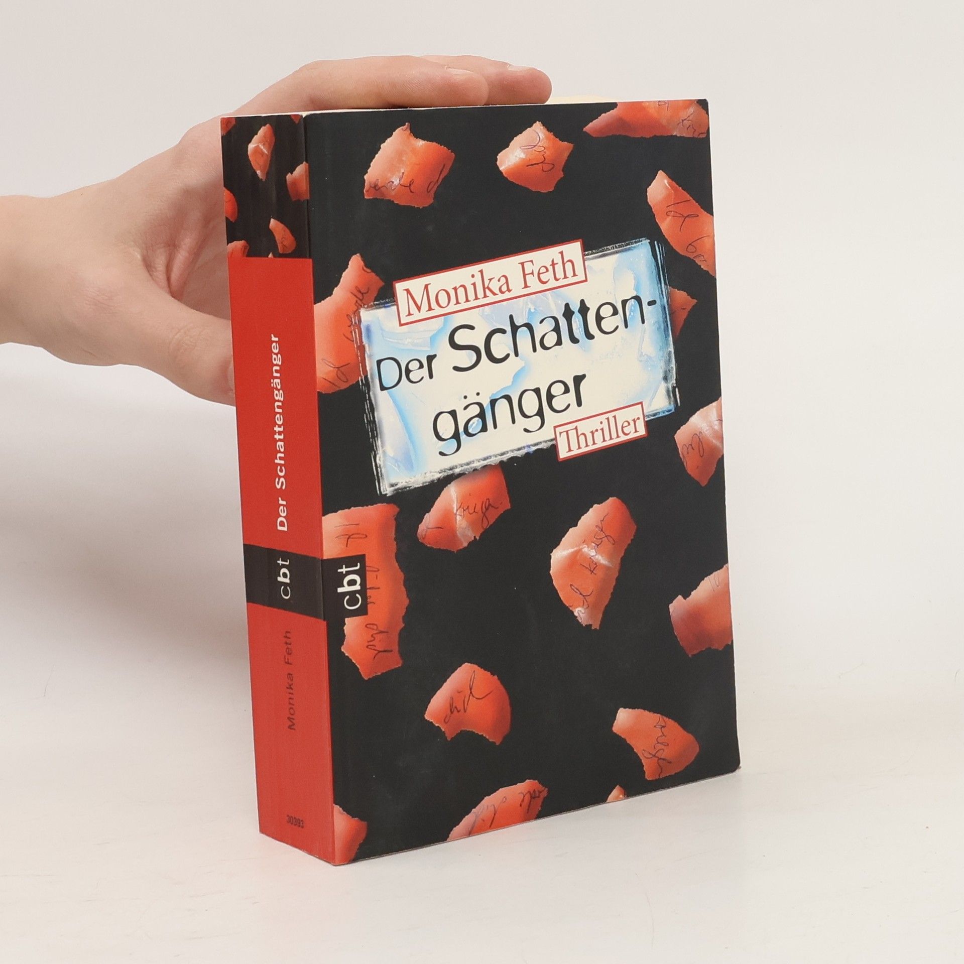 Monika Feth Der Schattengänger