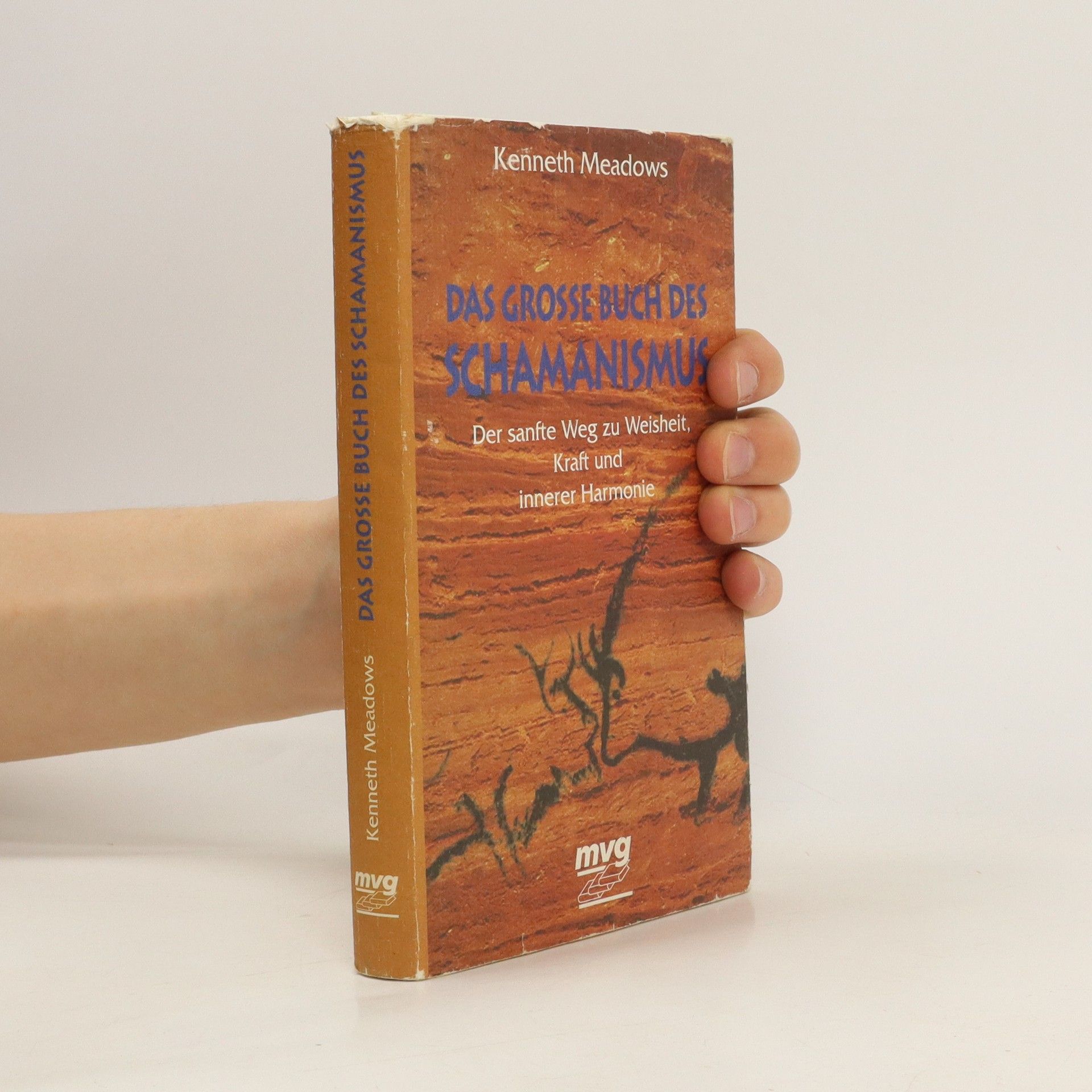 Kenneth Meadows Das grosse Buch des Schamanismus