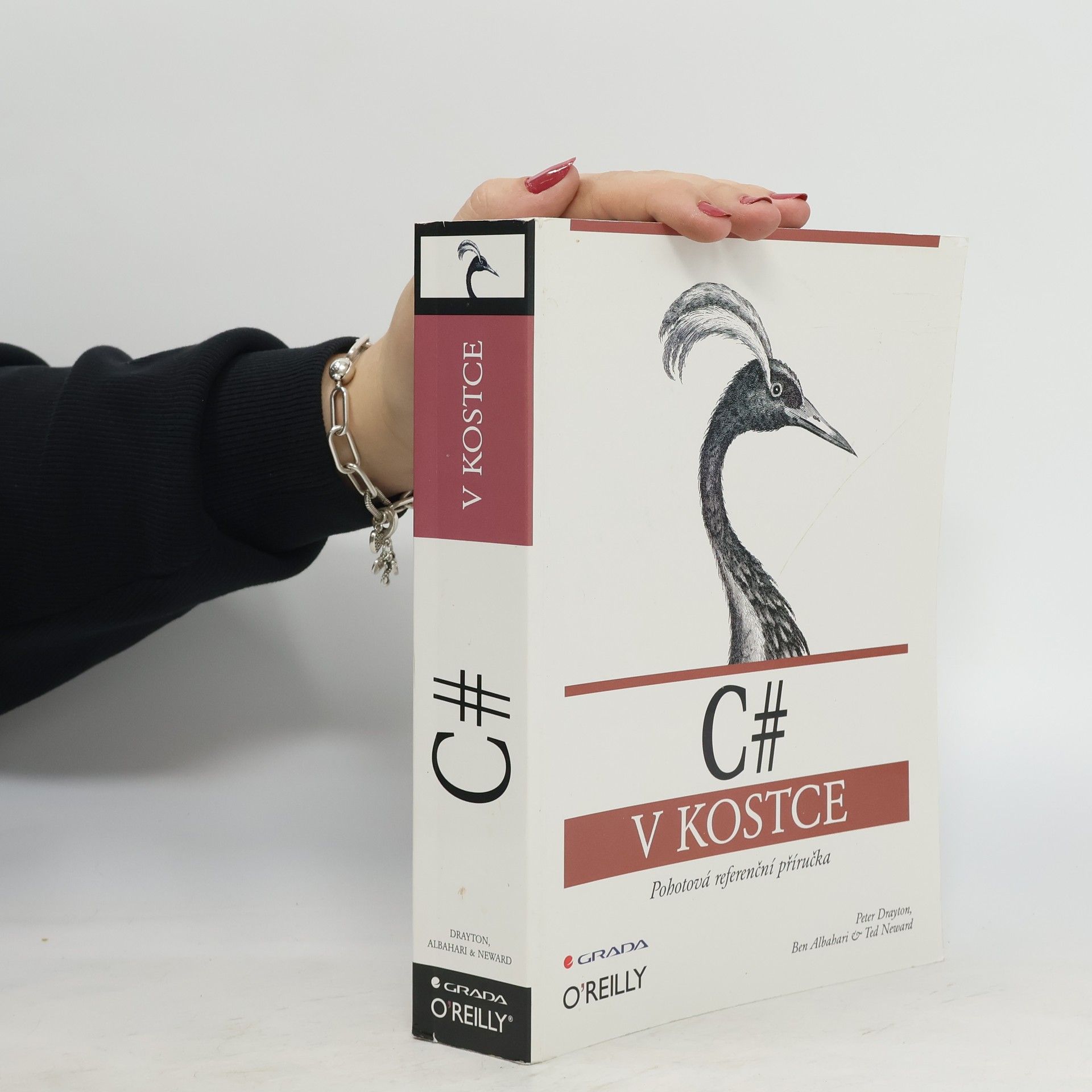 Collectif d'auteurs C# v kostce: Pohotová referenční příručka