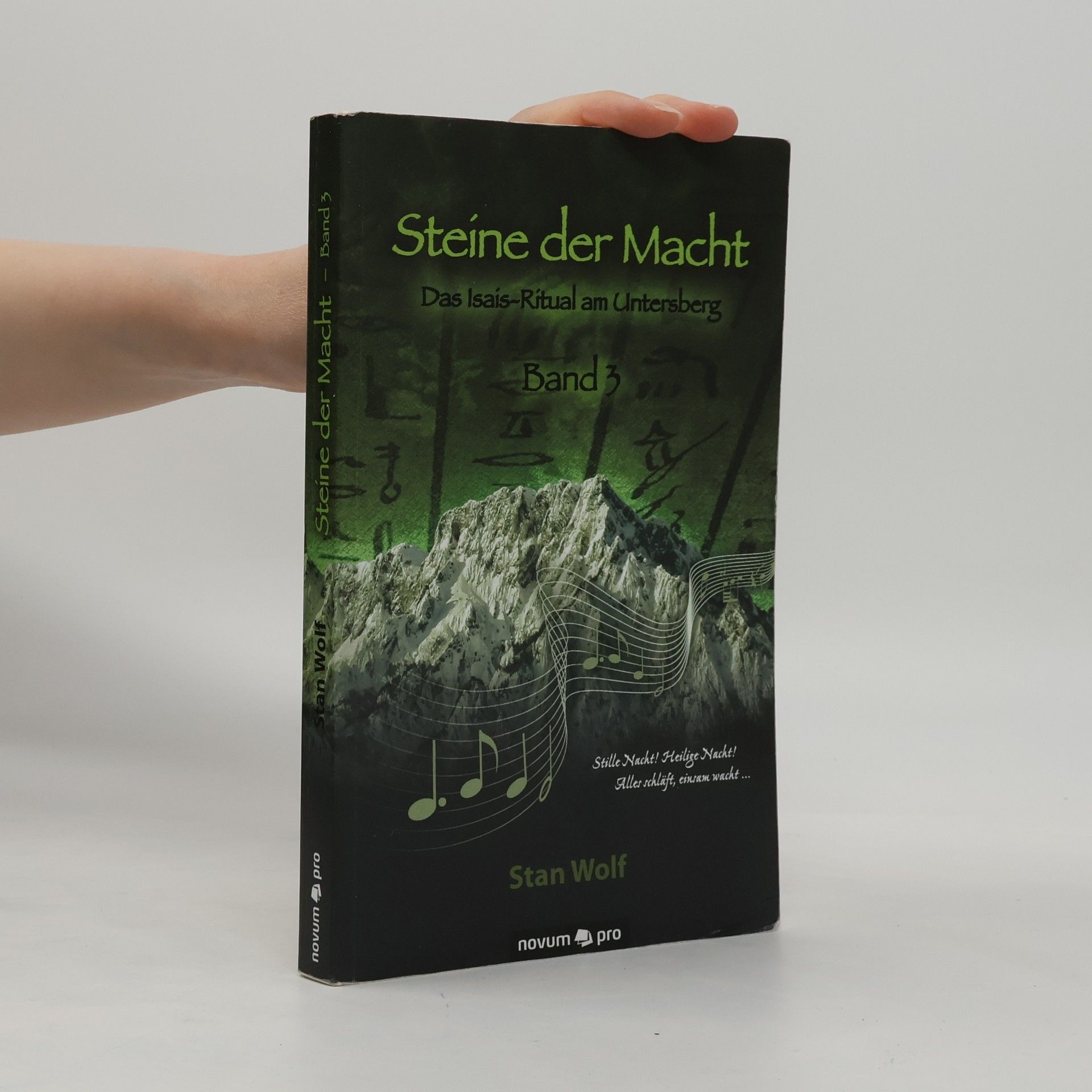 Stan Wolf Steine der Macht
