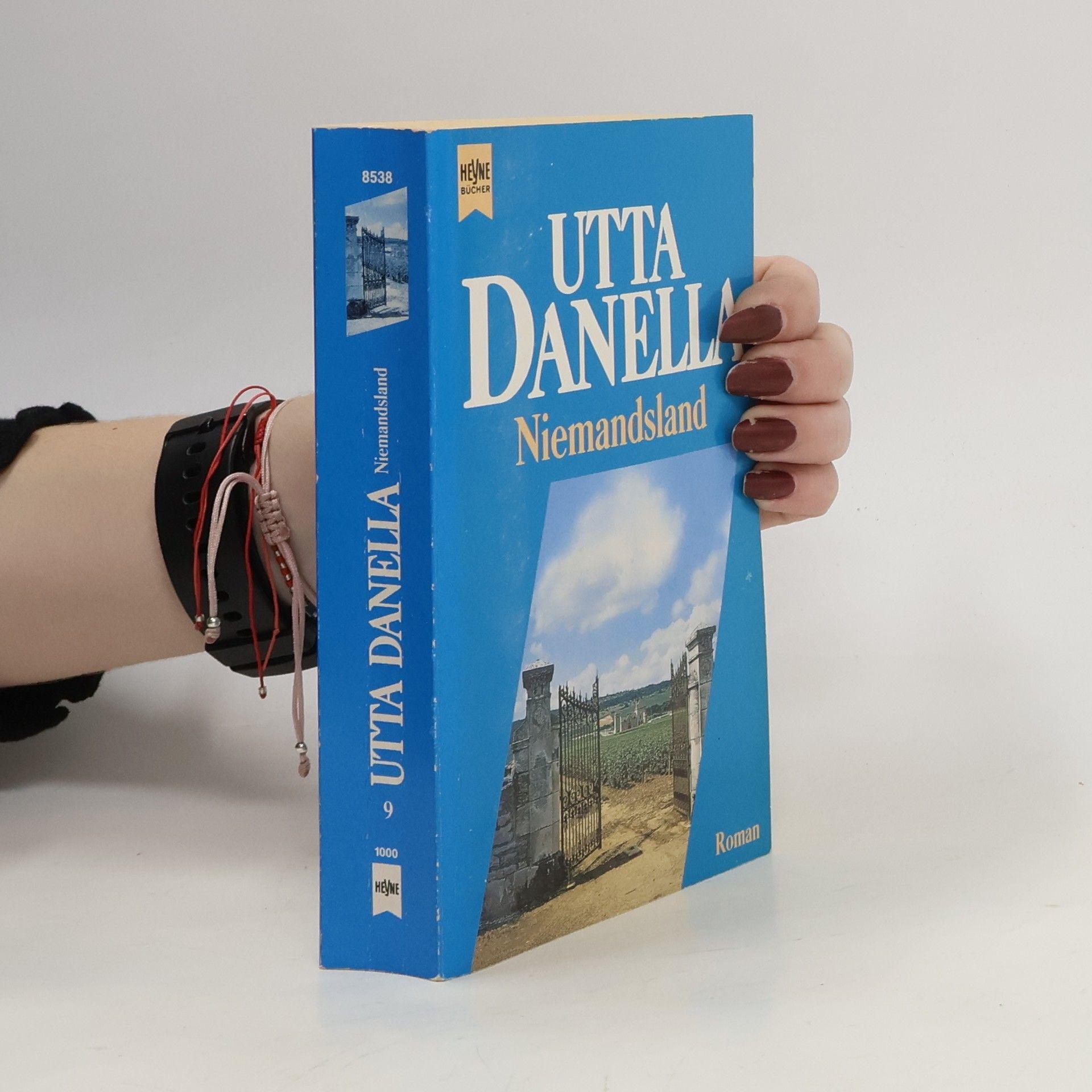 Utta Danella Niemandsland : Roman