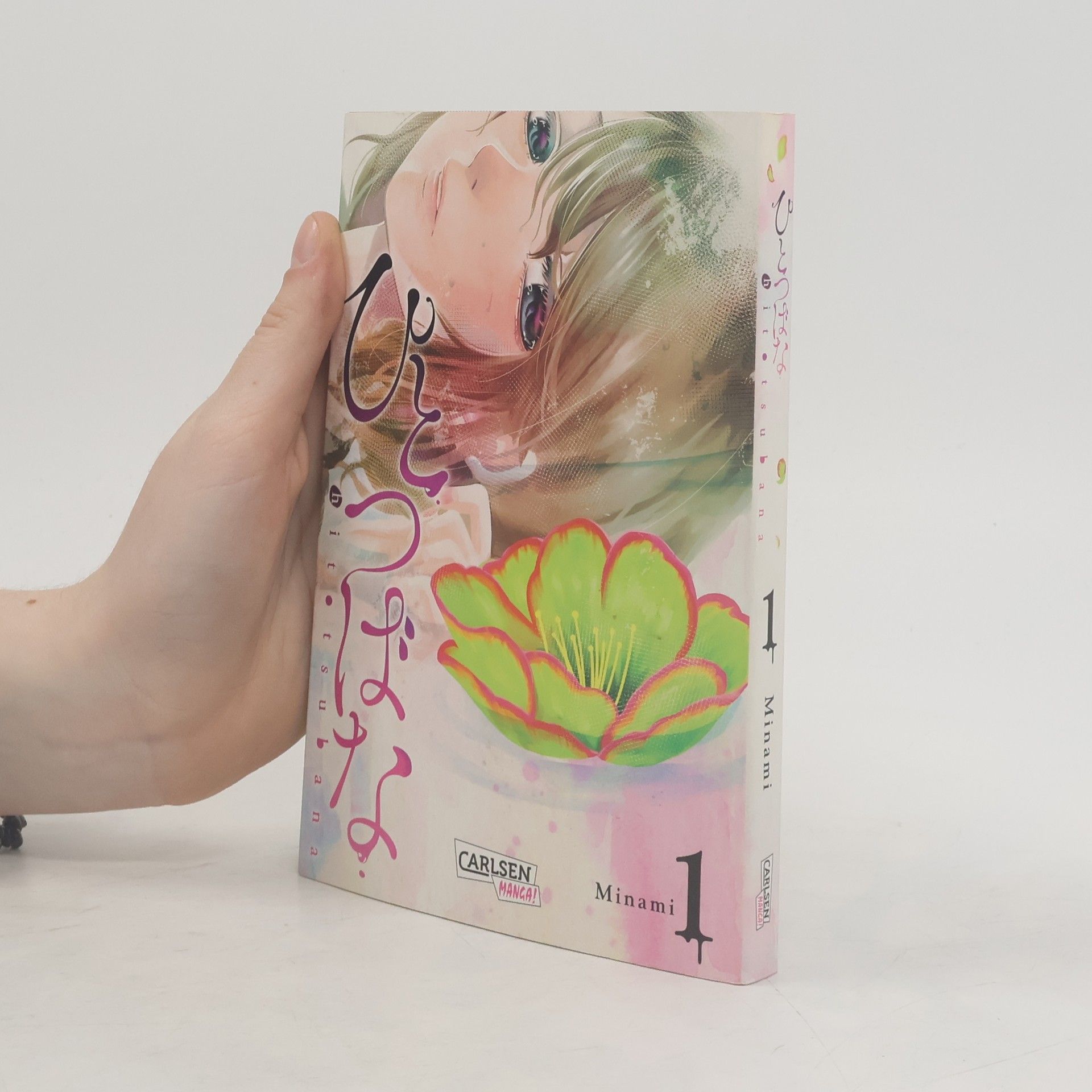 Minami Hitotsubana 1