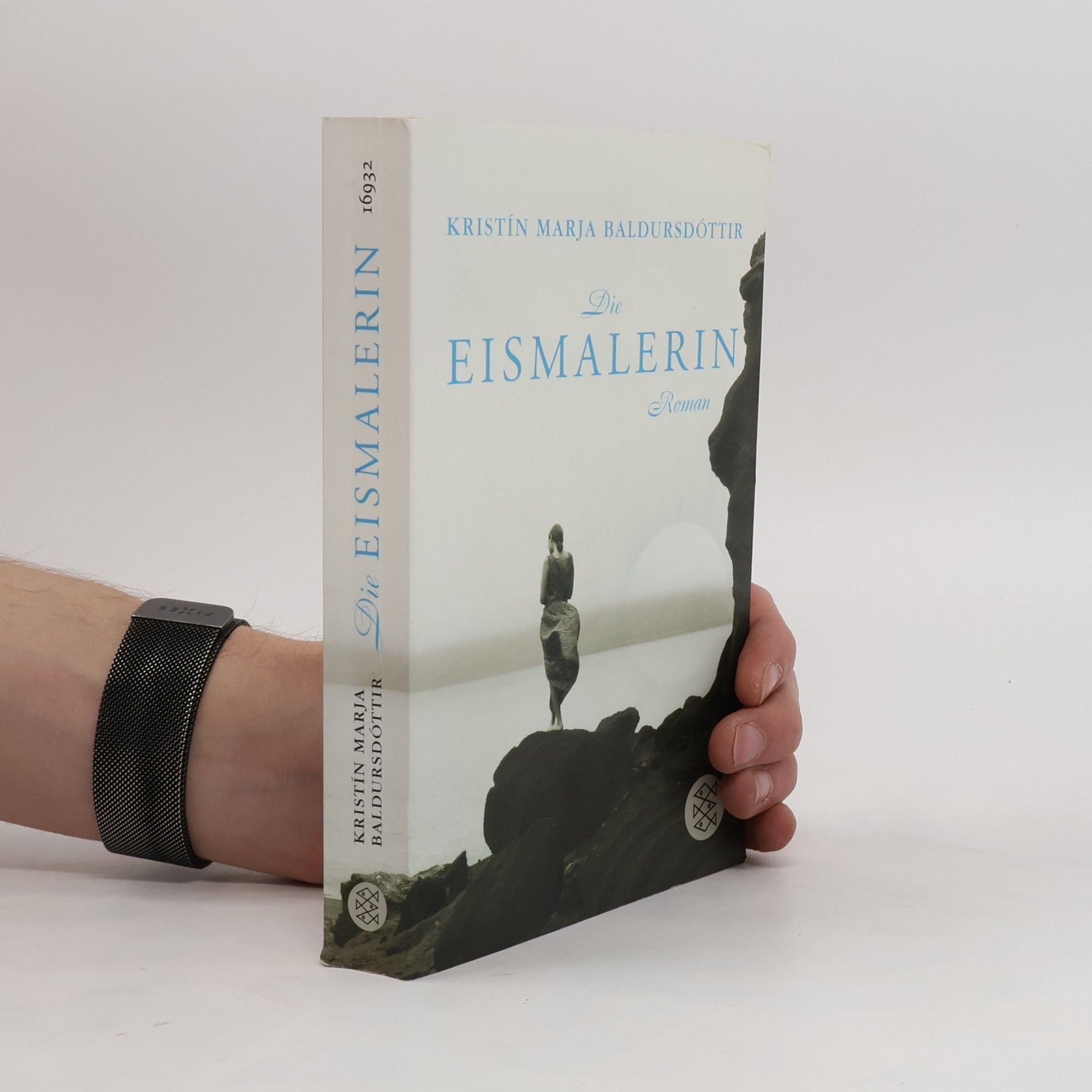 Kristín Marja Baldursdóttir Die Eismalerin