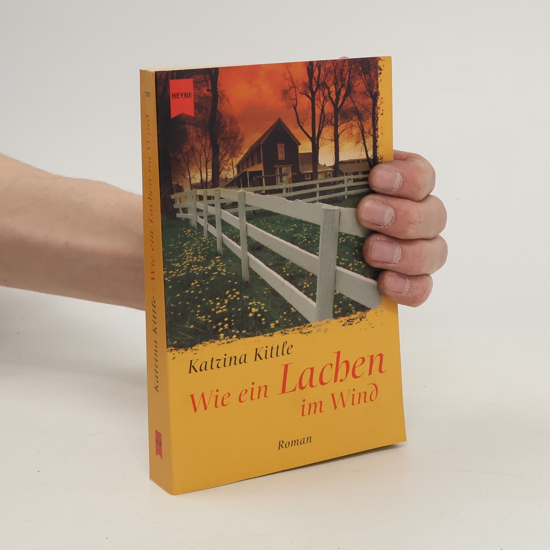 Katrina Kittle Wie ein Lachen im Wind