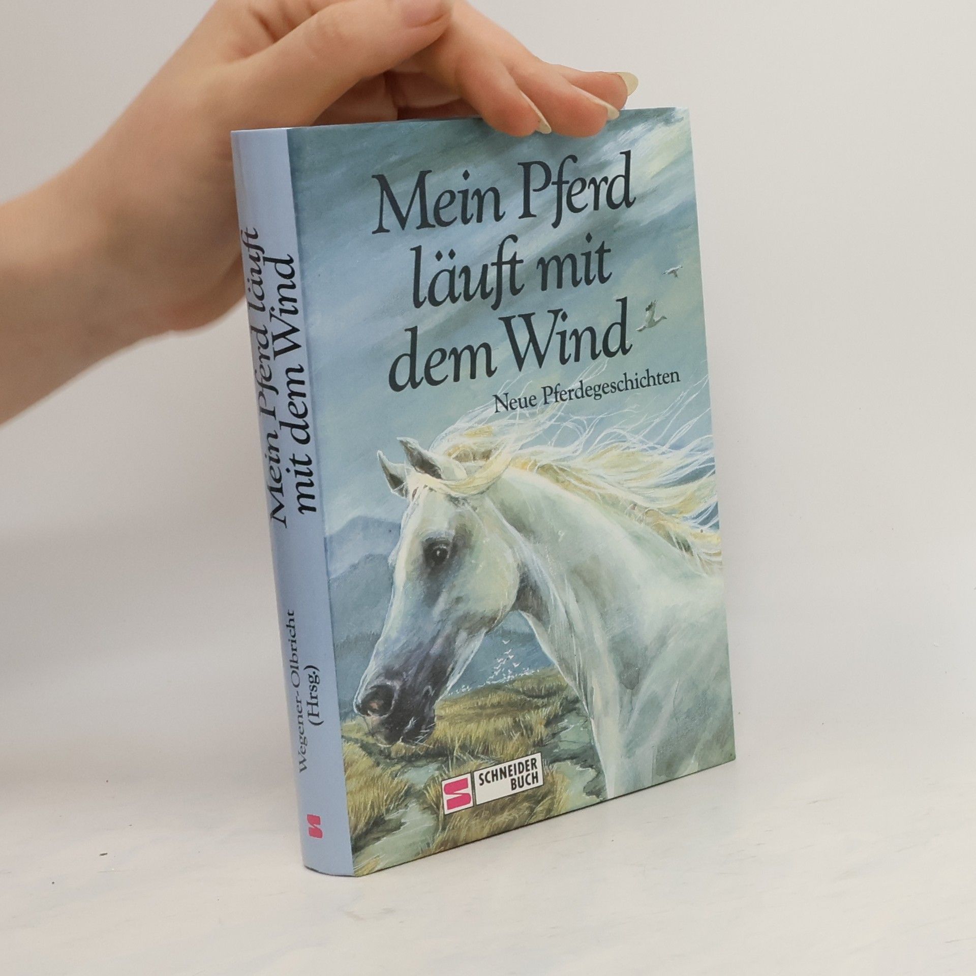 Autorenkollektiv Mein Pferd läuft mit dem Wind