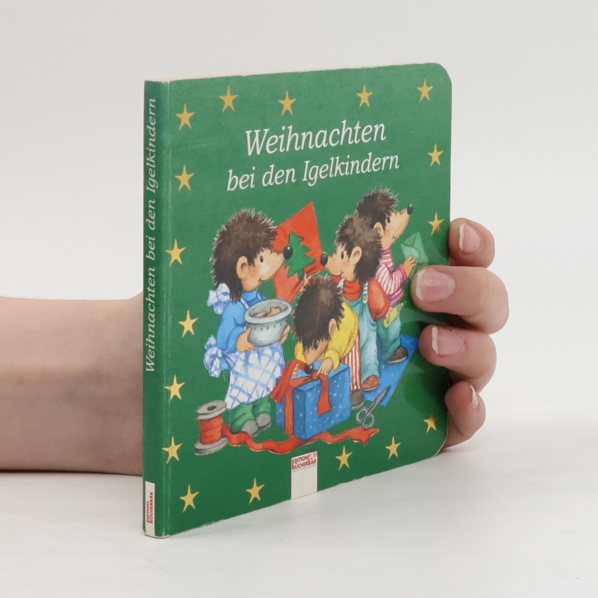Marlit Peikert Weihnachten bei den Igelkindern