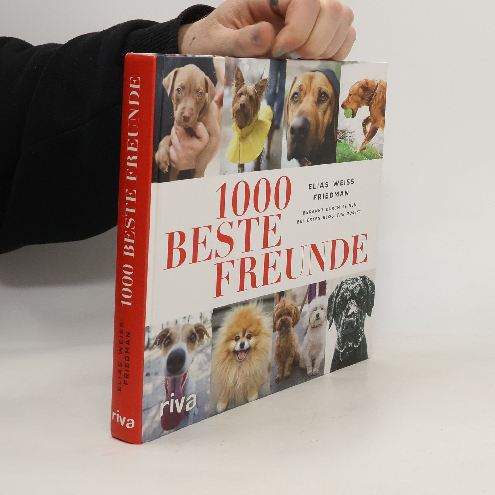Elias Weiss Friedman 1000 beste Freunde
