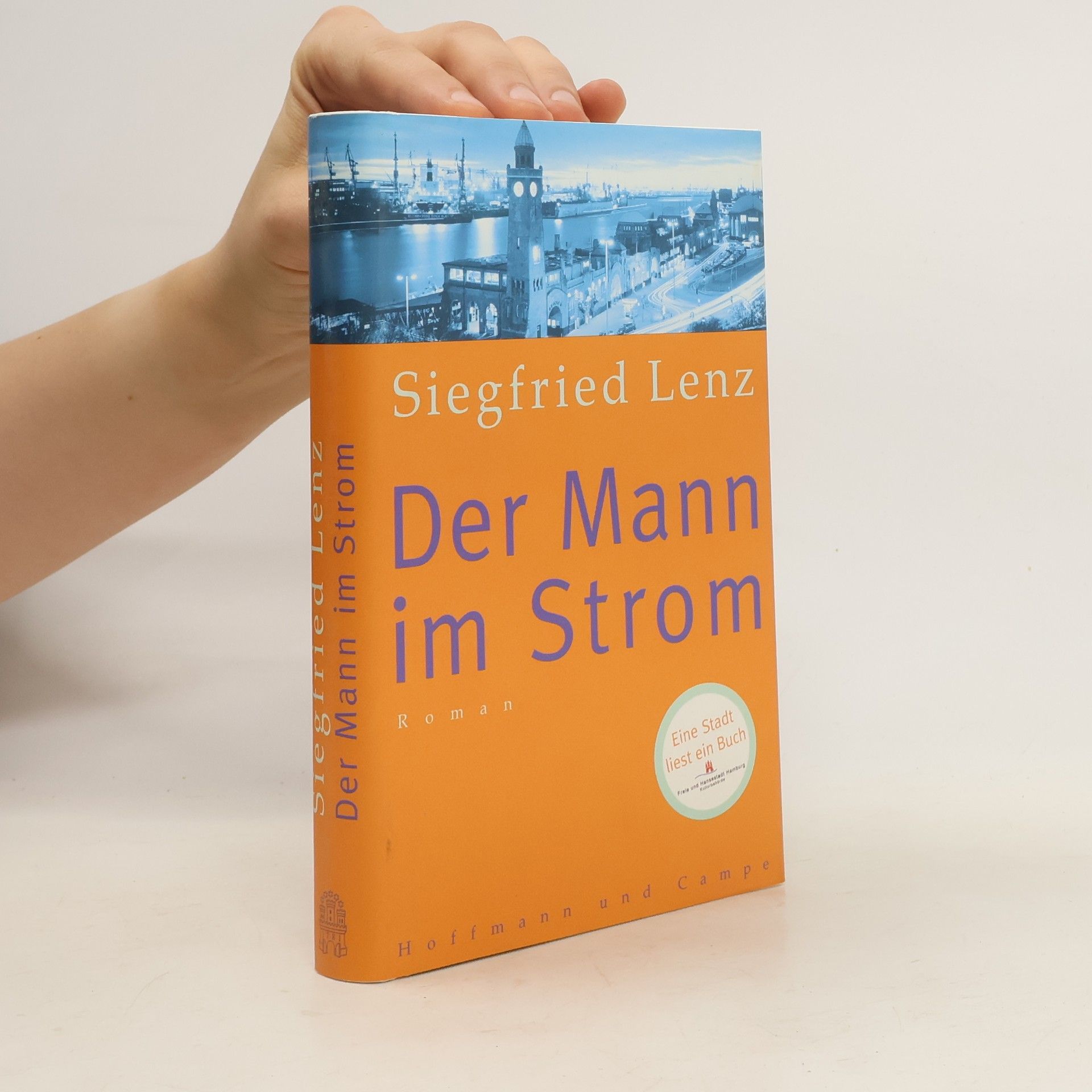 Siegfried Lenz Der Mann im Strom