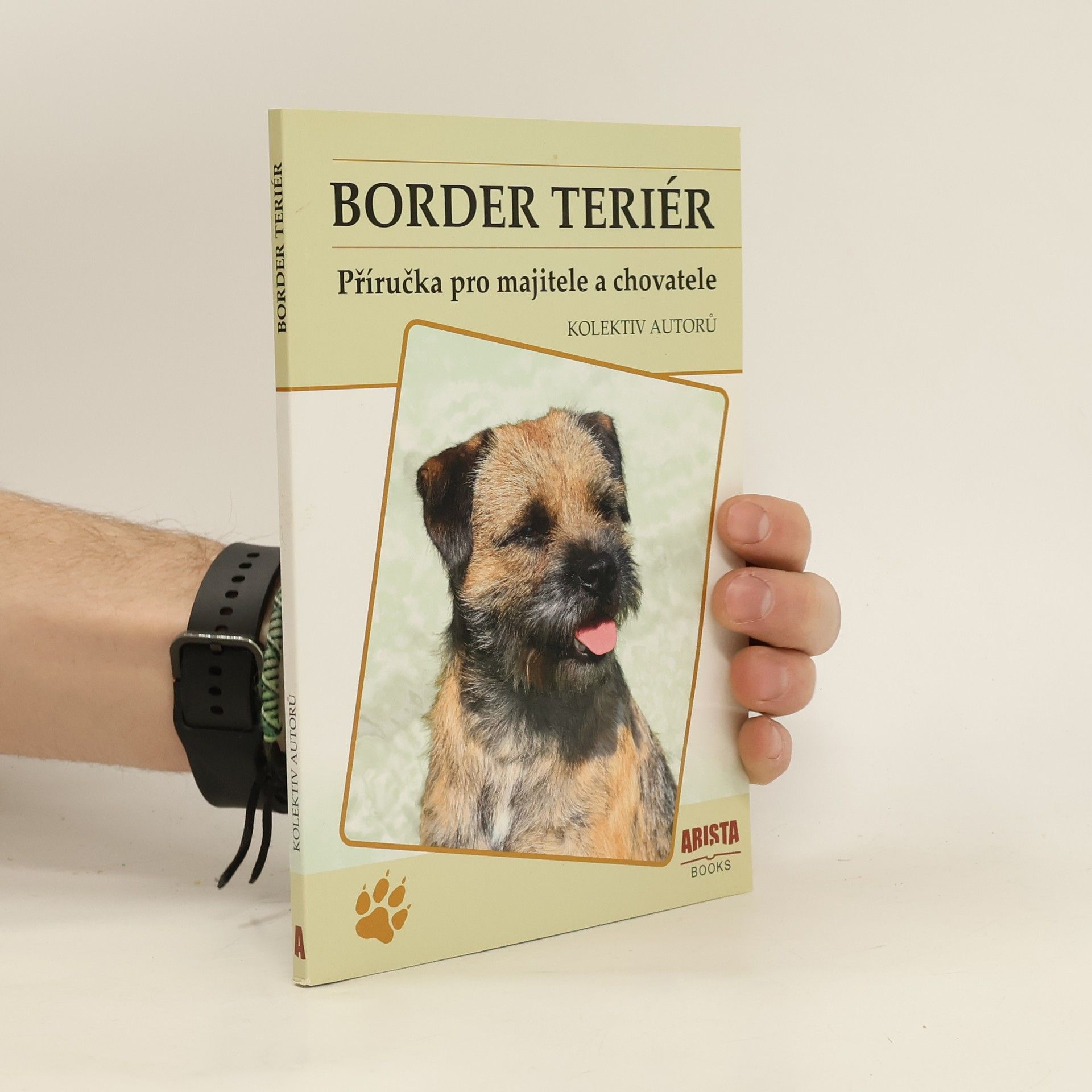 kolektiv Border teriér