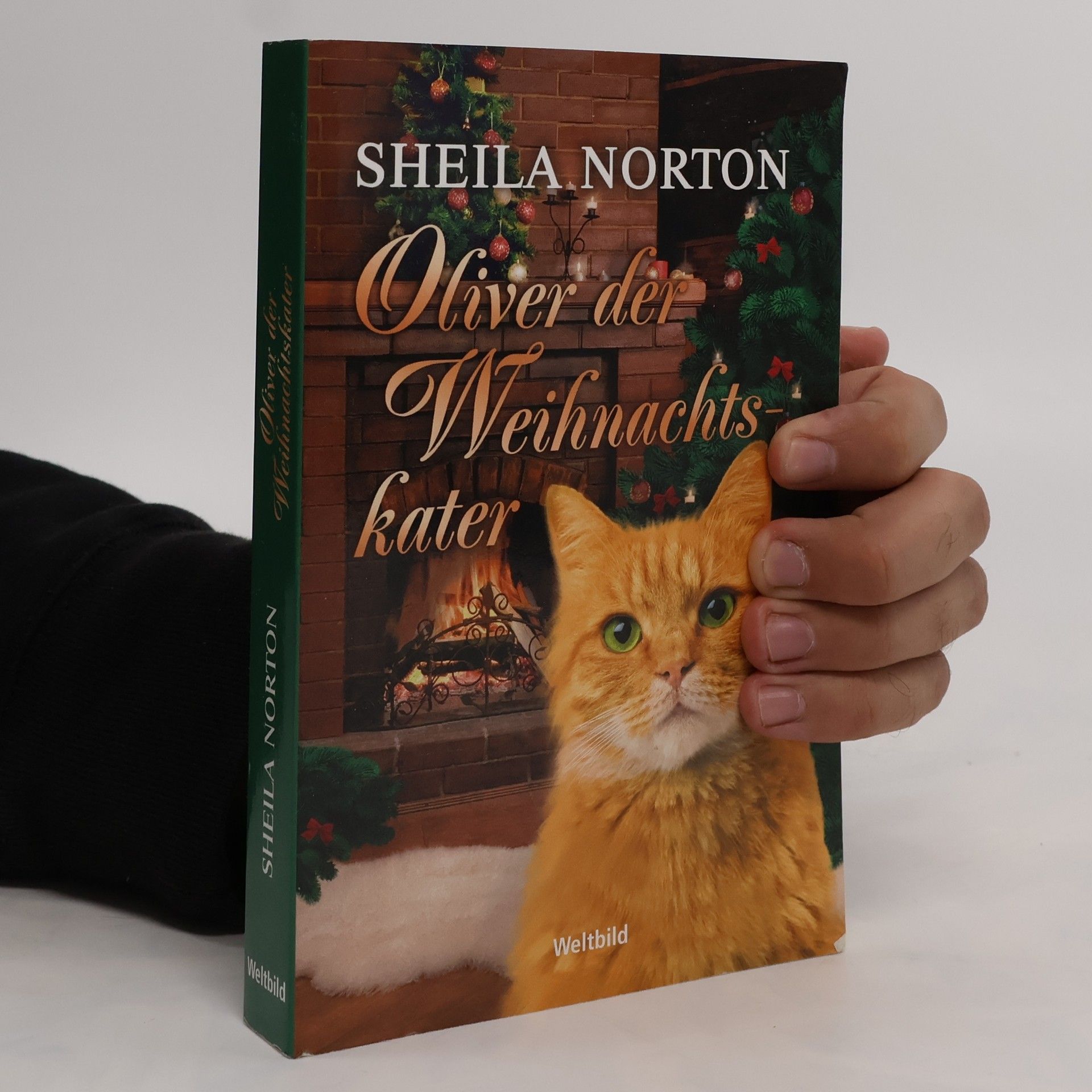 Sheila Norton Oliver der Weihnachtskater