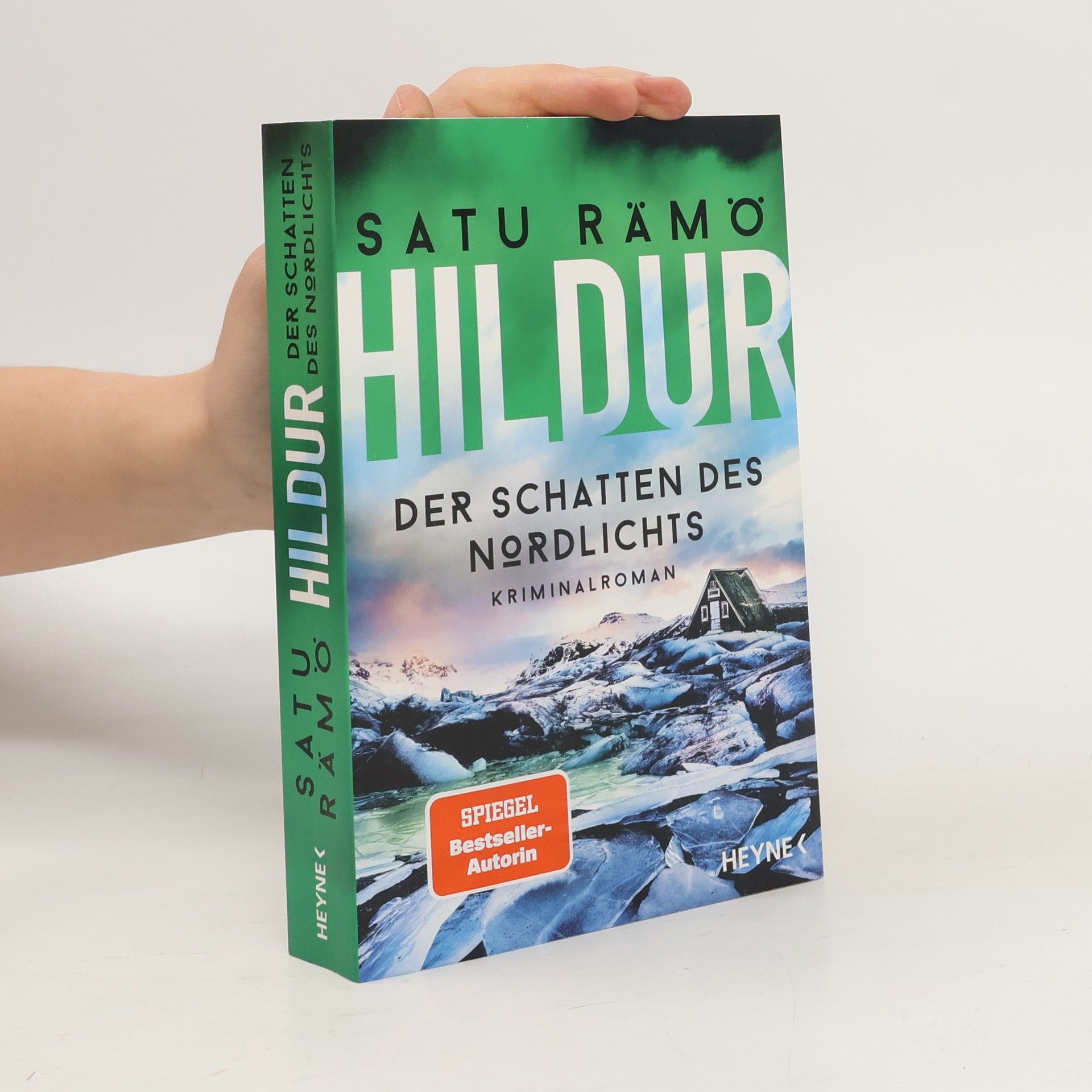 Satu Rämö Hildur – Der Schatten des Nordlichts. Kriminalroman
