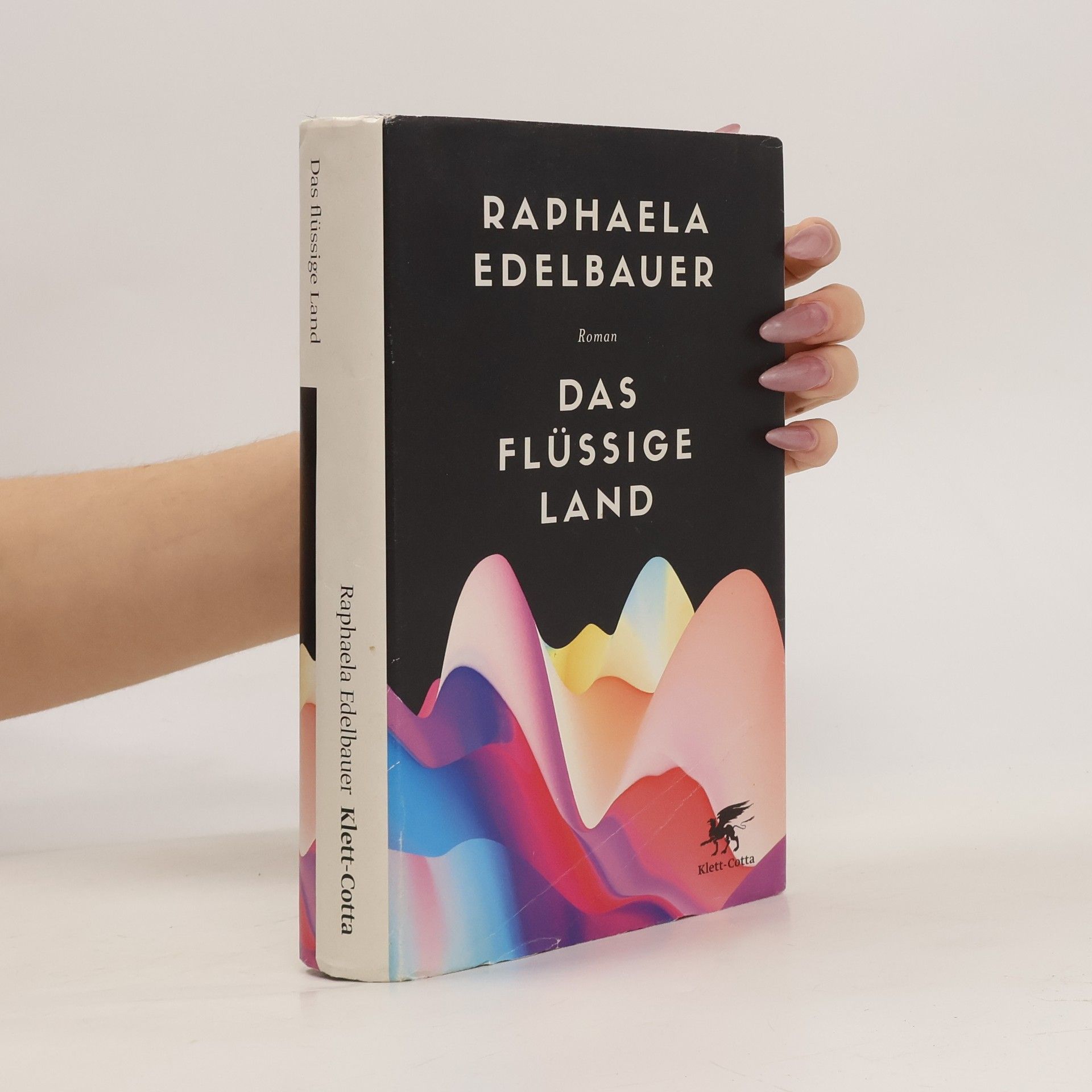 Raphaela Edelbauer Das flüssige Land