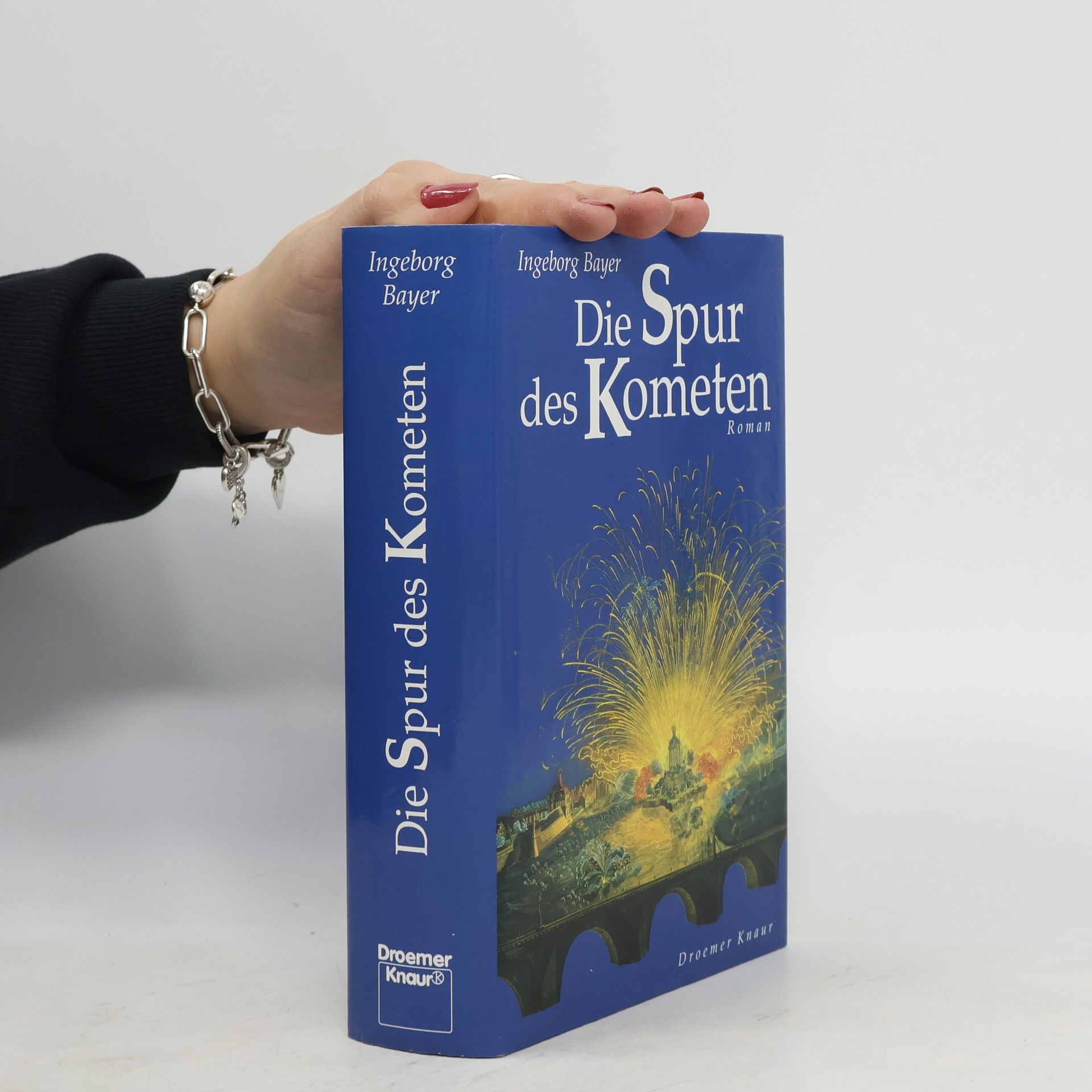 Ingeborg Bayer Die Spur des Kometen