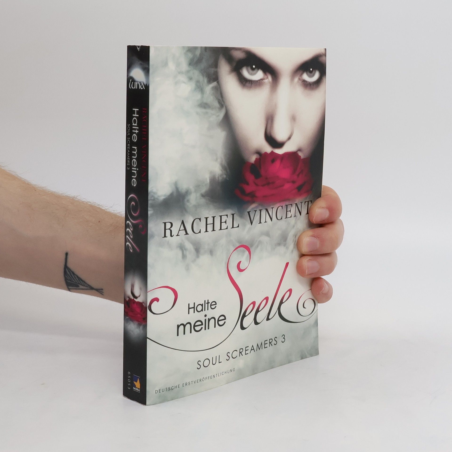 Rachel Vincent Soul Screamers - Halte meine Seele. Reihenfolge Band 3