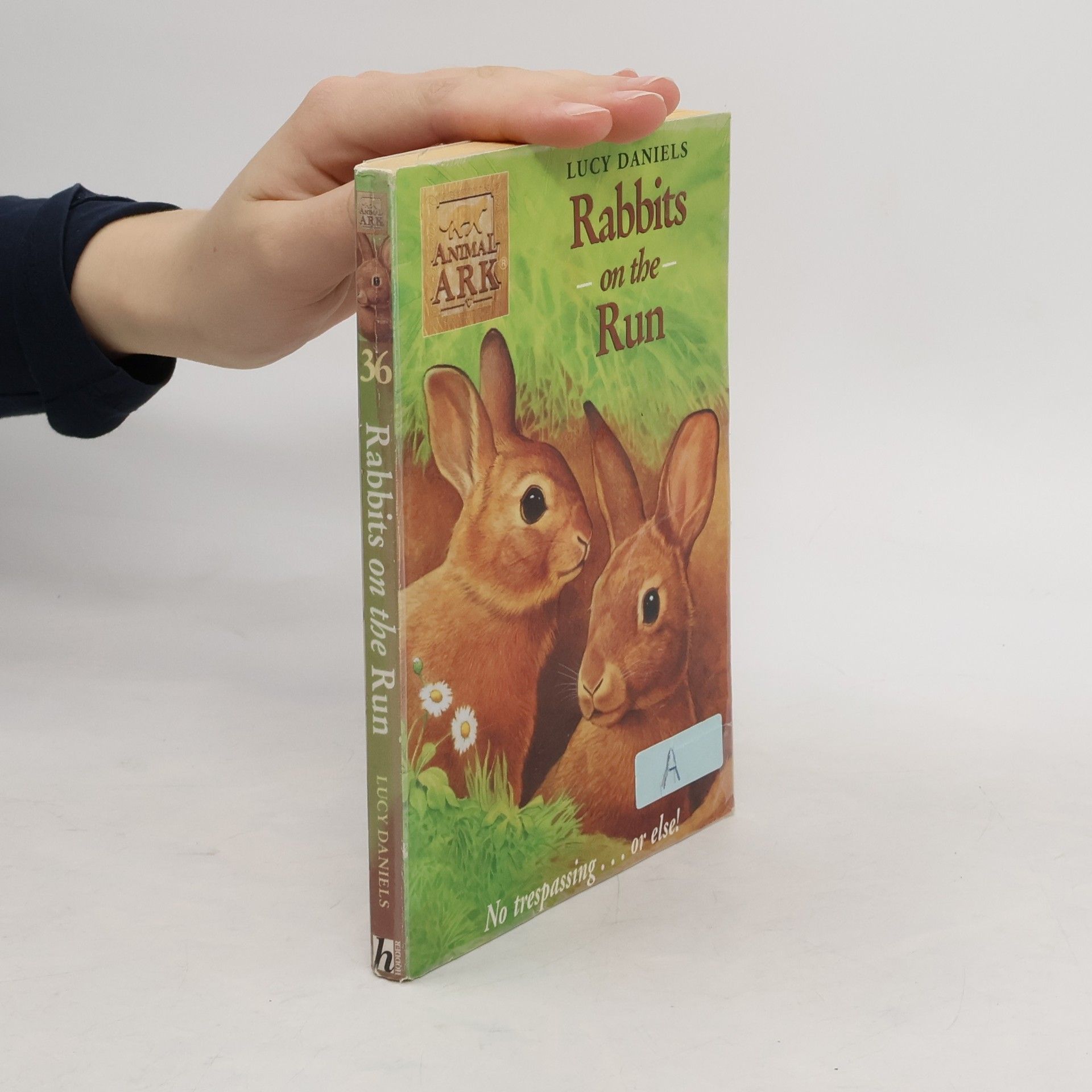 Lucy Daniels Rabbits on the Run