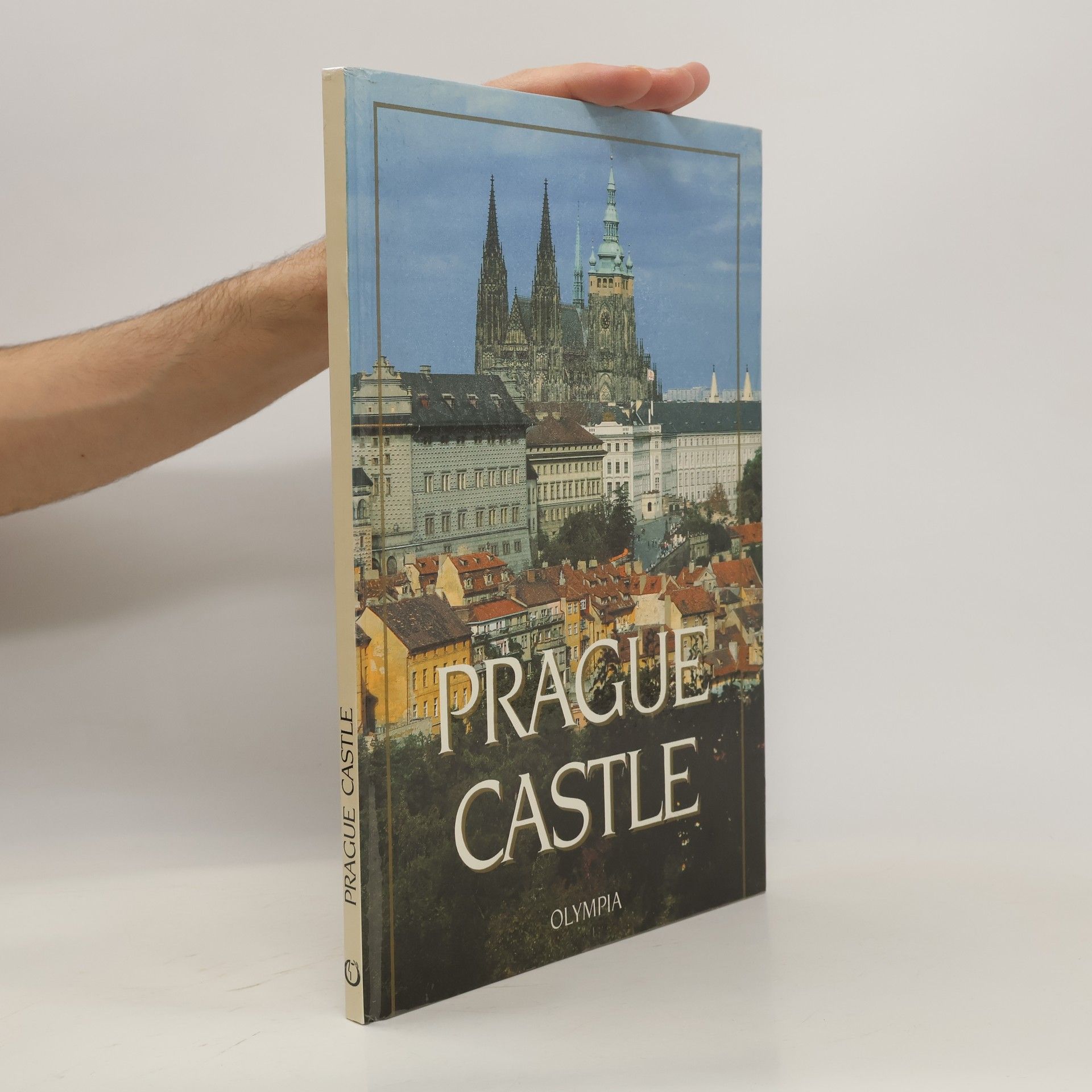 Petr Chotěbor The Prague Castle