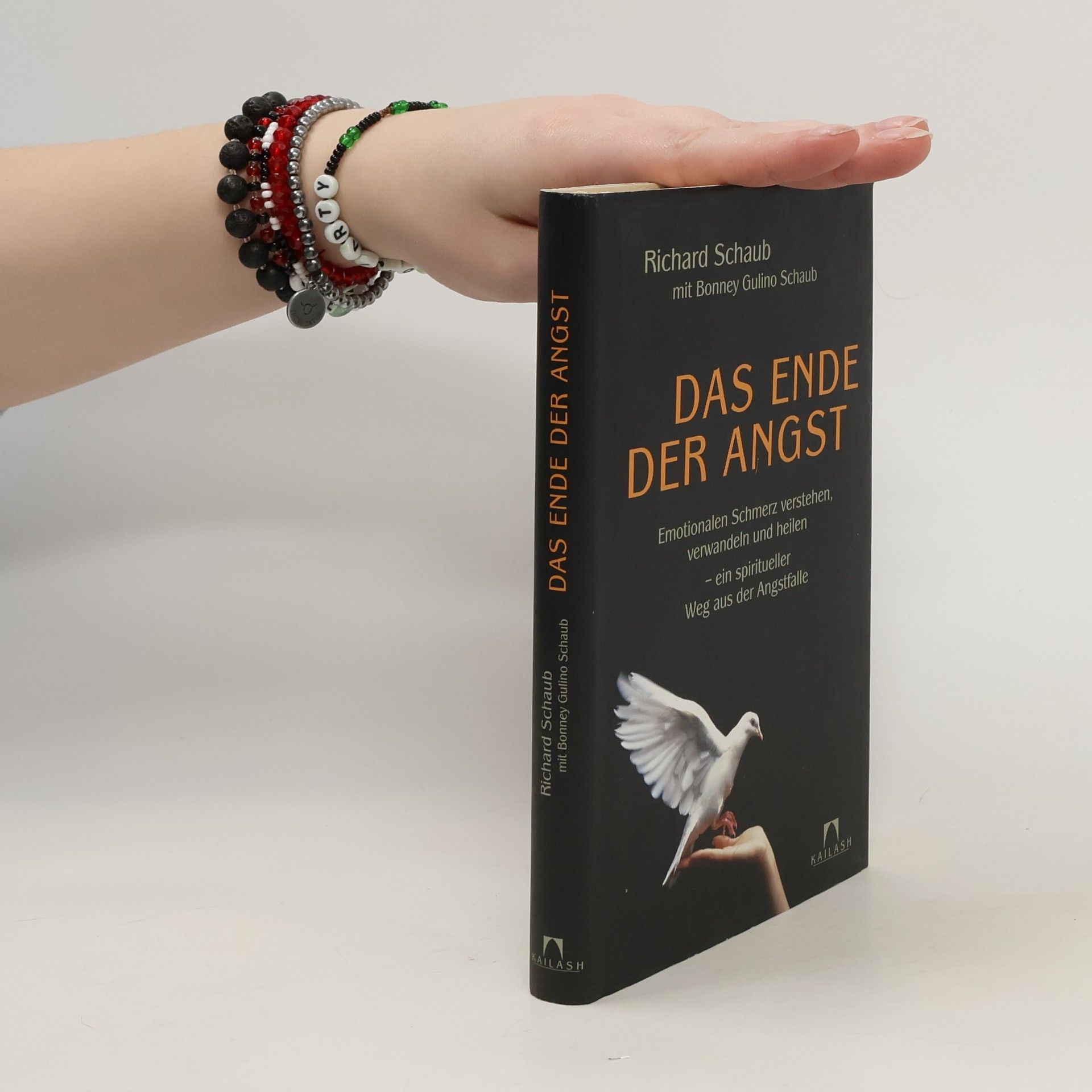 Richard Schaub Das Ende der Angst