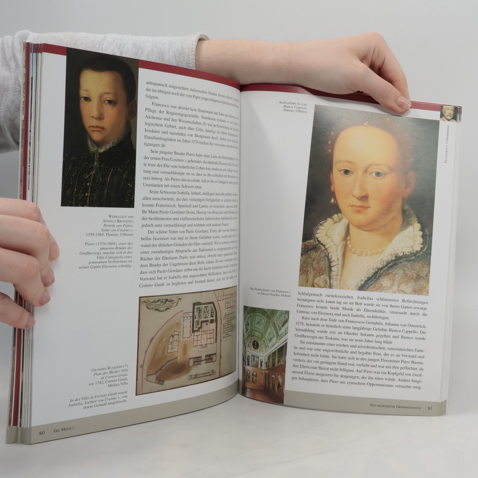 Massimo Winspeare Medici. Das Zertalter der grossen Kunstsammlungen