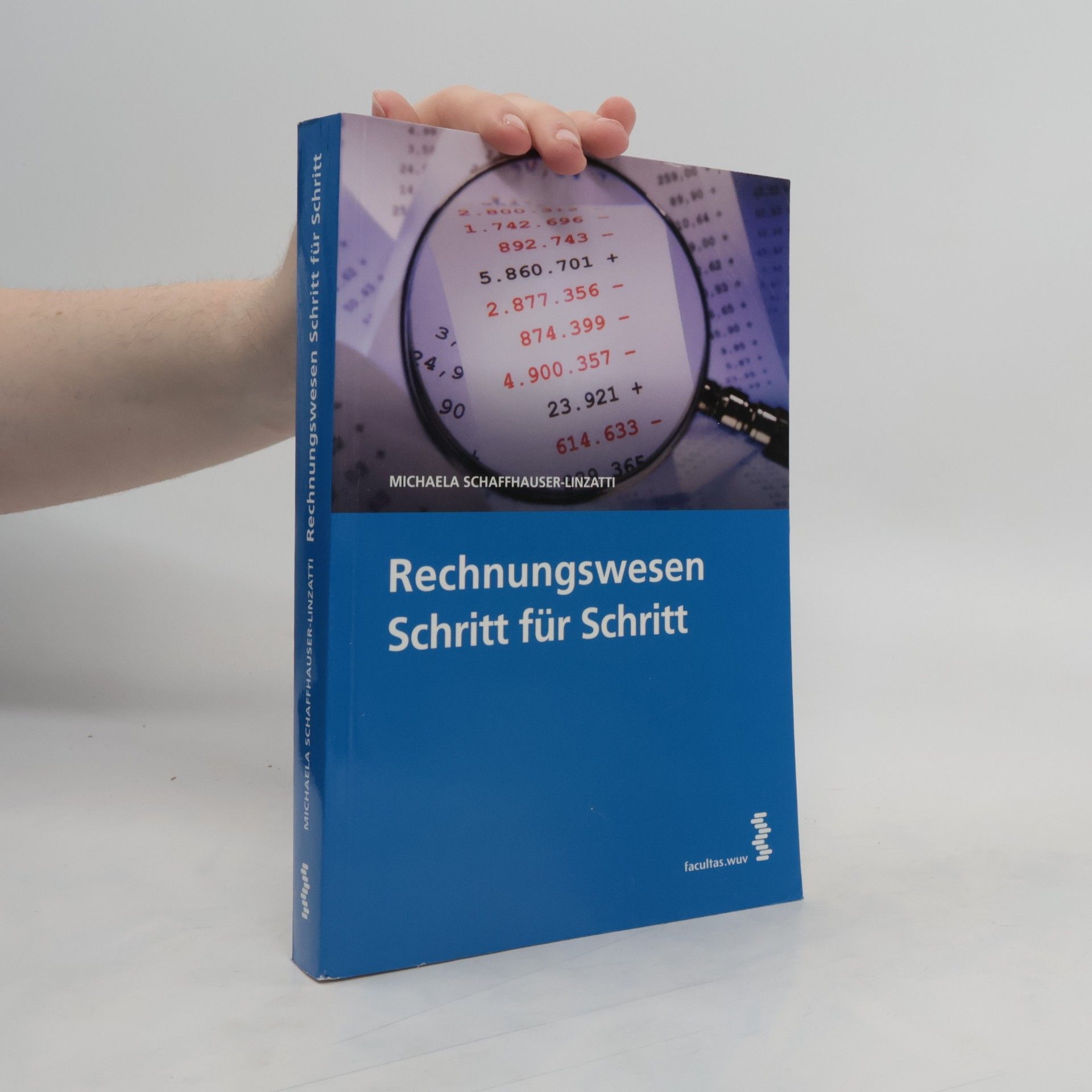 Michaela Schaffhauser-Linzatti Rechnungswesen Schritt für Schritt