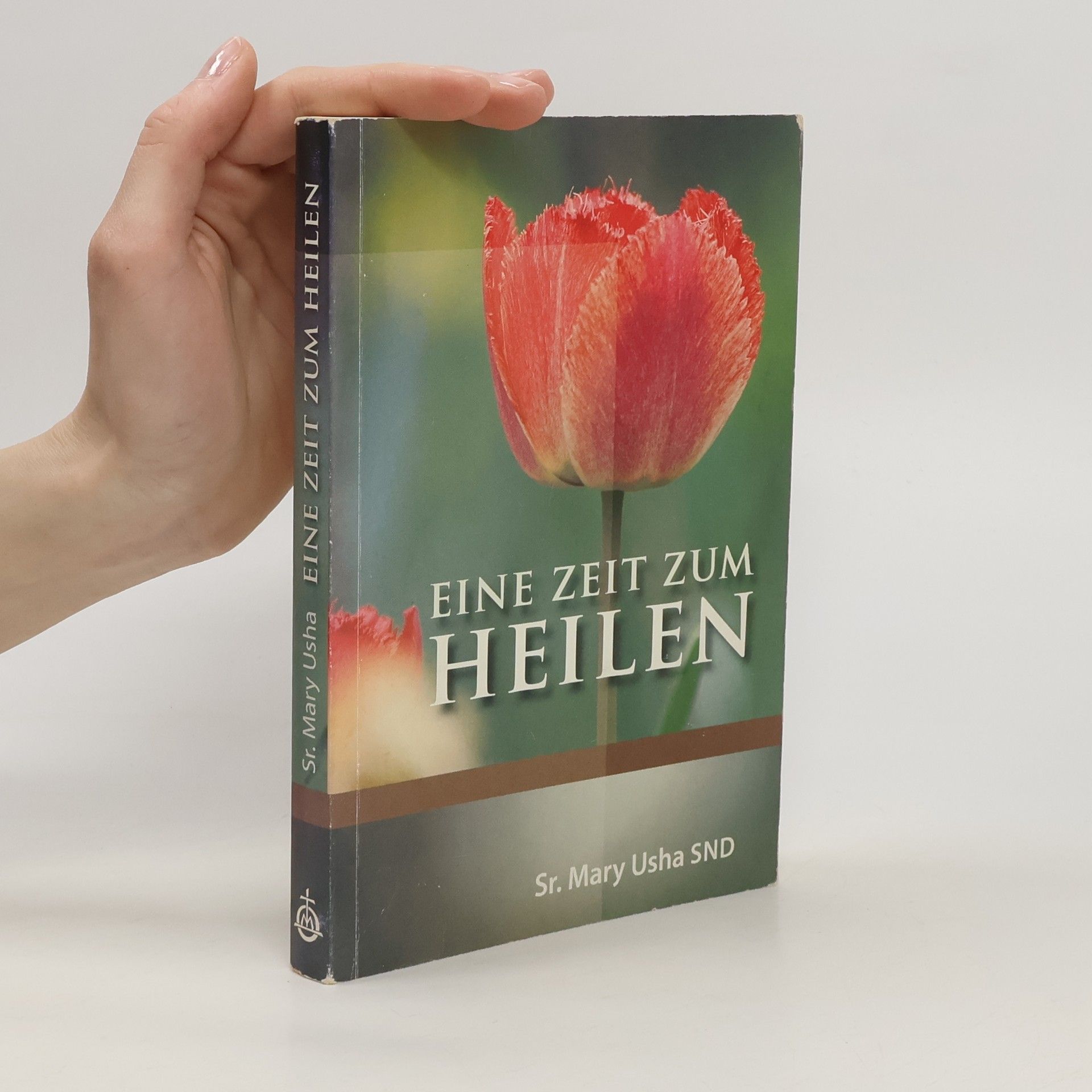 Mary Usha Eine Zeit zum Heilen