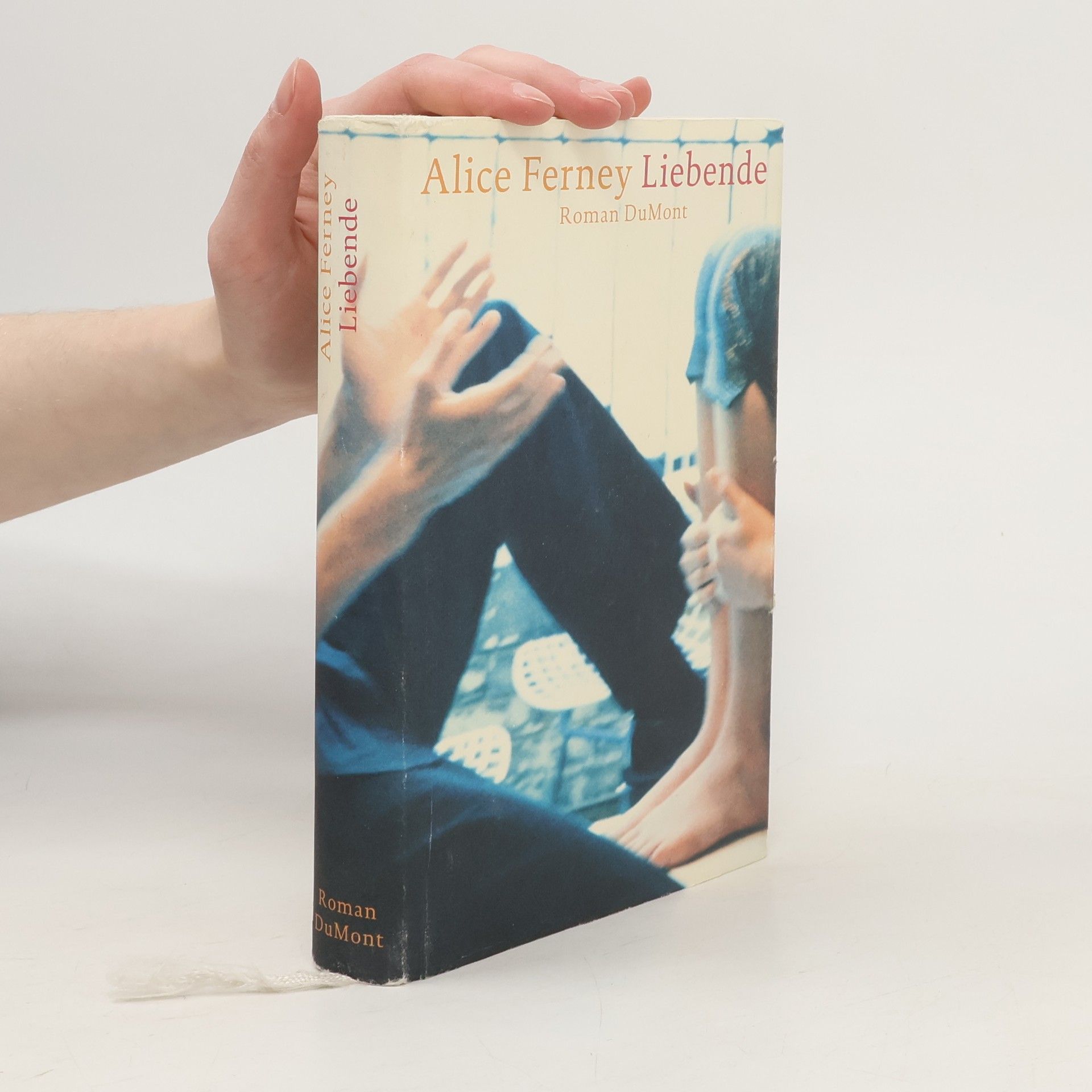 Alice Ferney Liebende