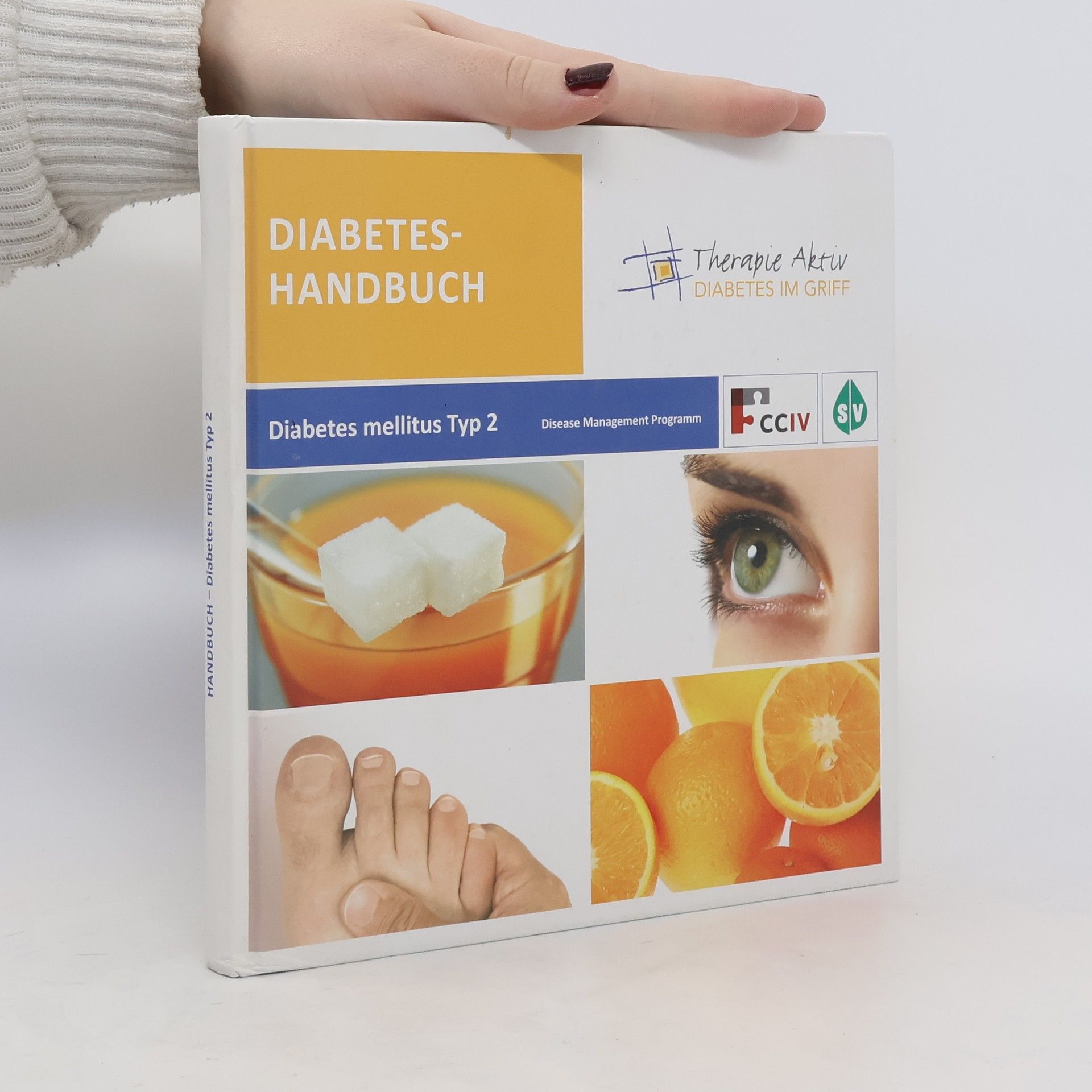 Kolektív autorov Diabetes-Handbuch. Diabetes Mellitus Typ 2