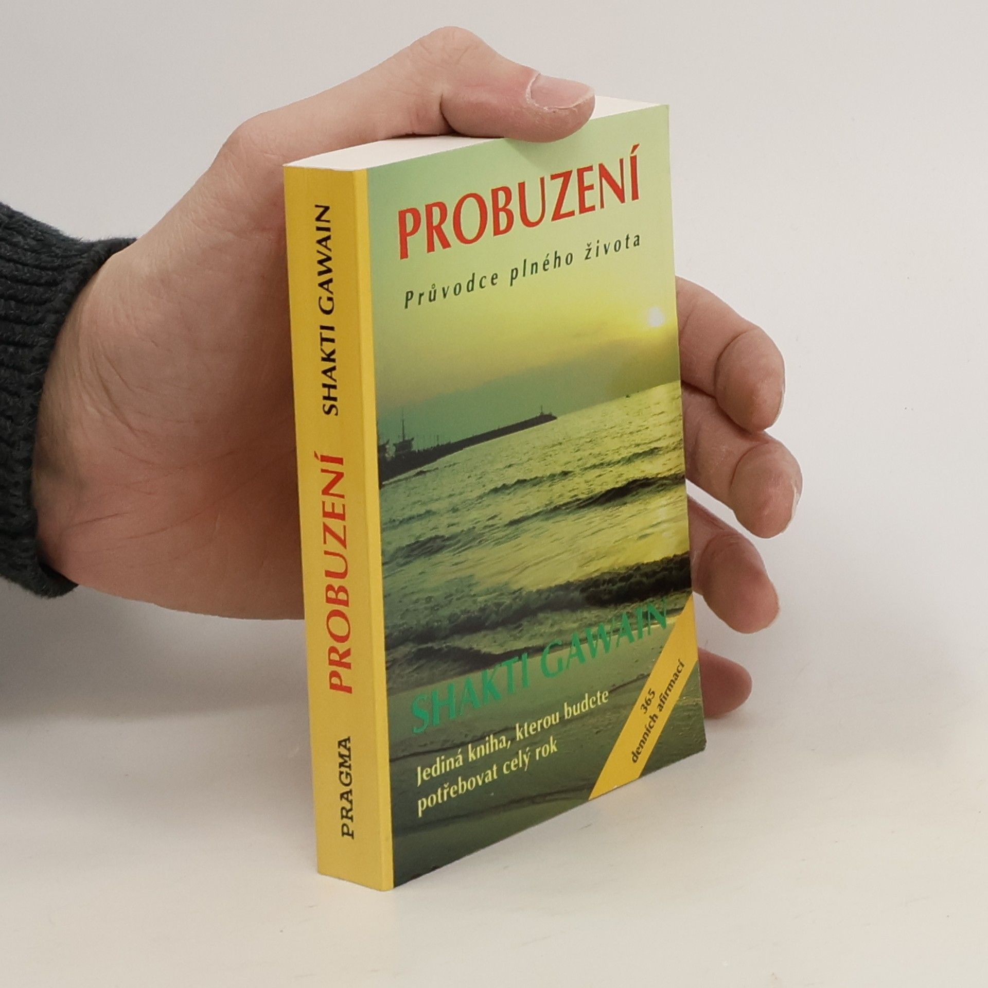 Shakti Gawain Probuzení. Průvodce plného života