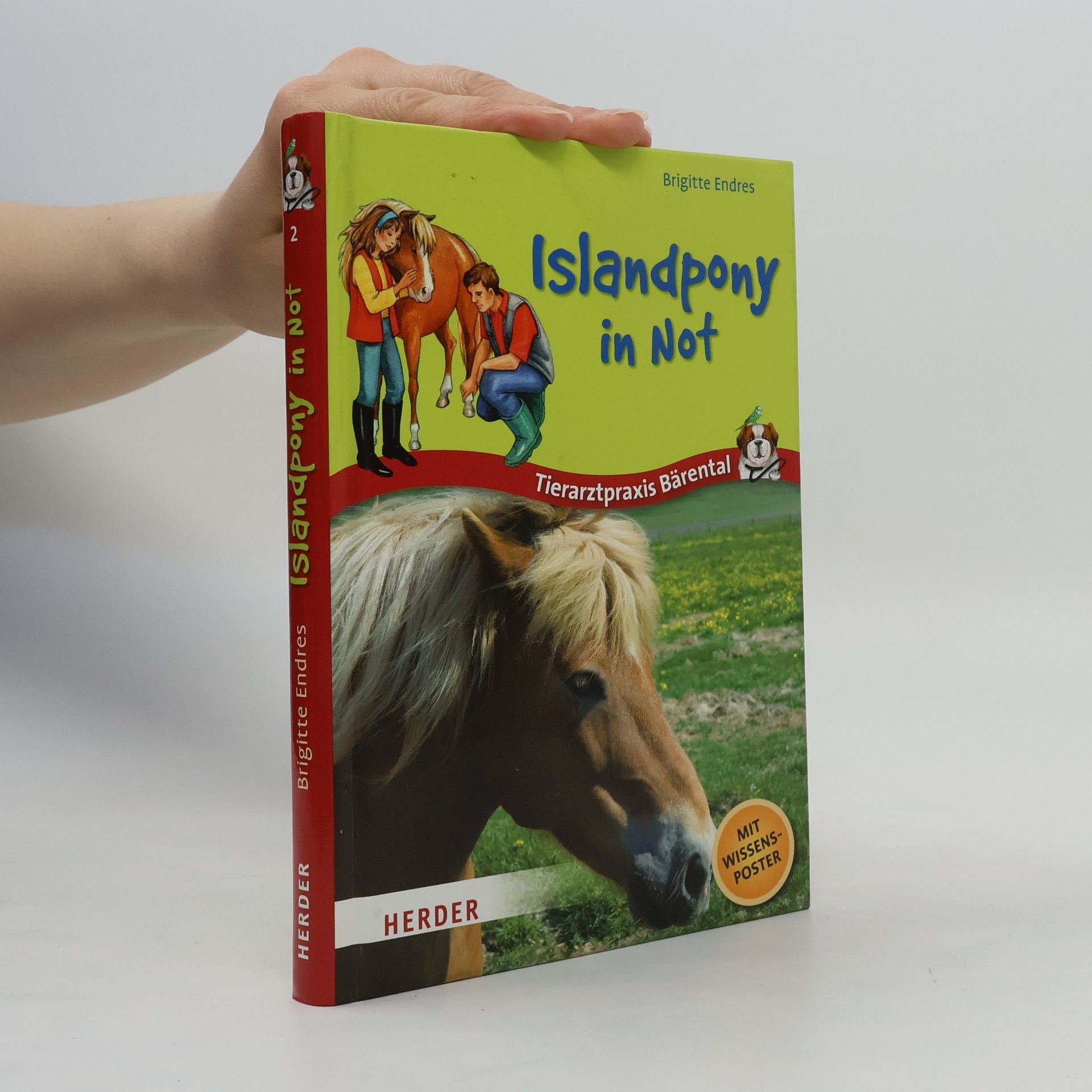 Brigitte Endres Tierarztpraxis Bärental. Islandpony in Not