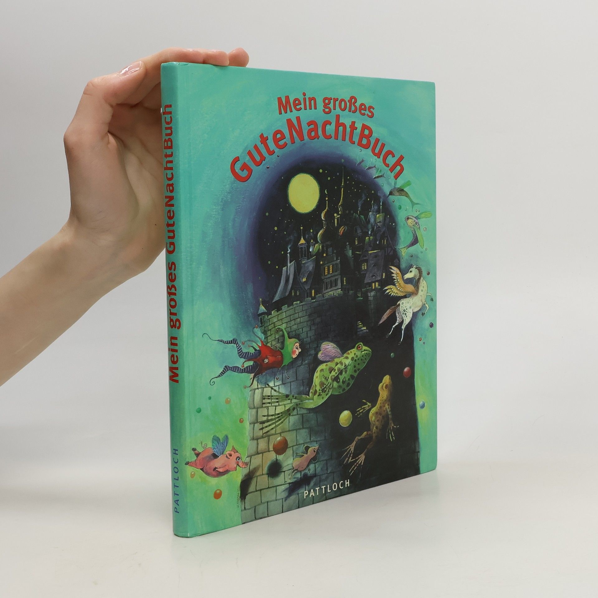 Carola Hoffmann Mein großes GuteNachtBuch