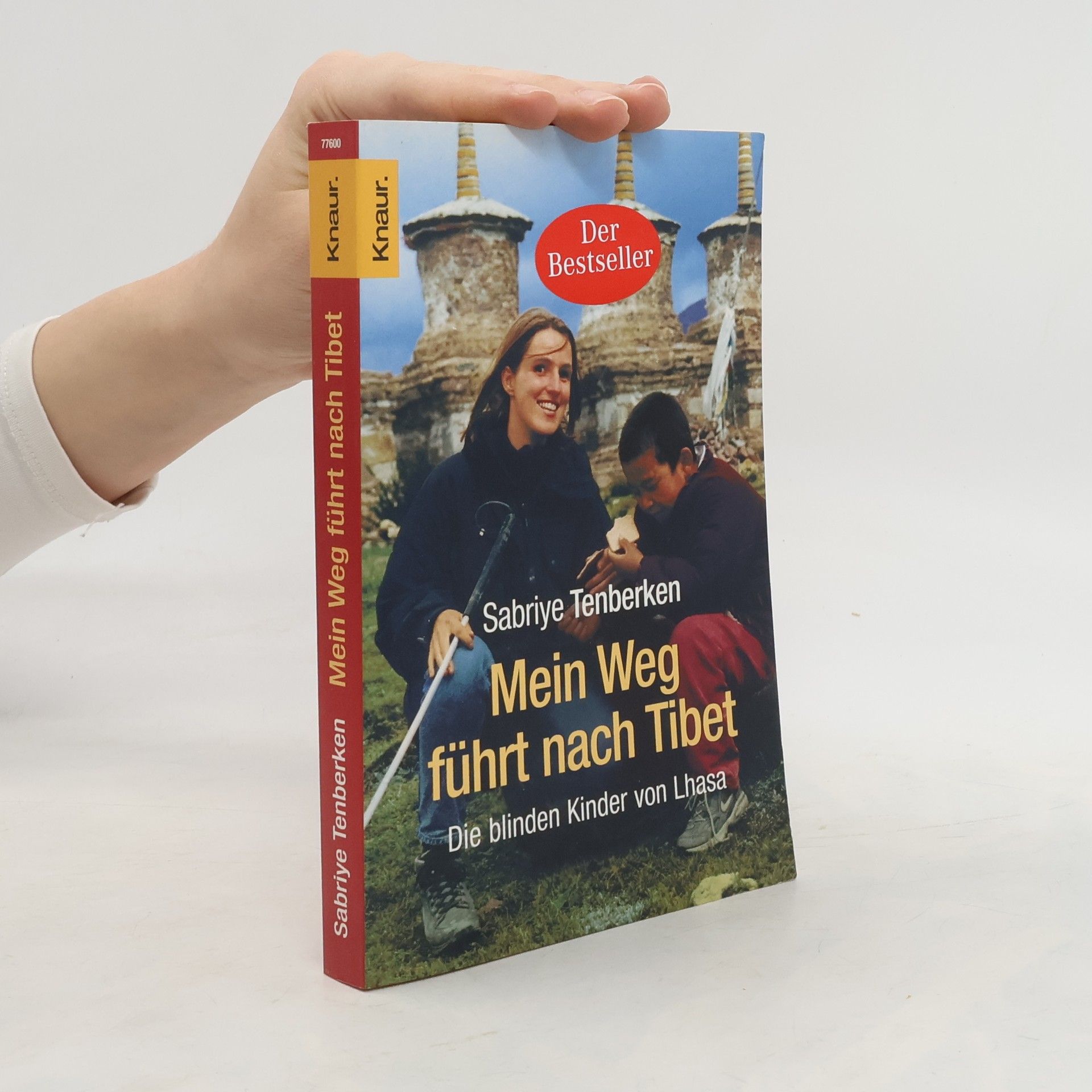 Sabriye Tenberken Mein Weg führt nach Tibet