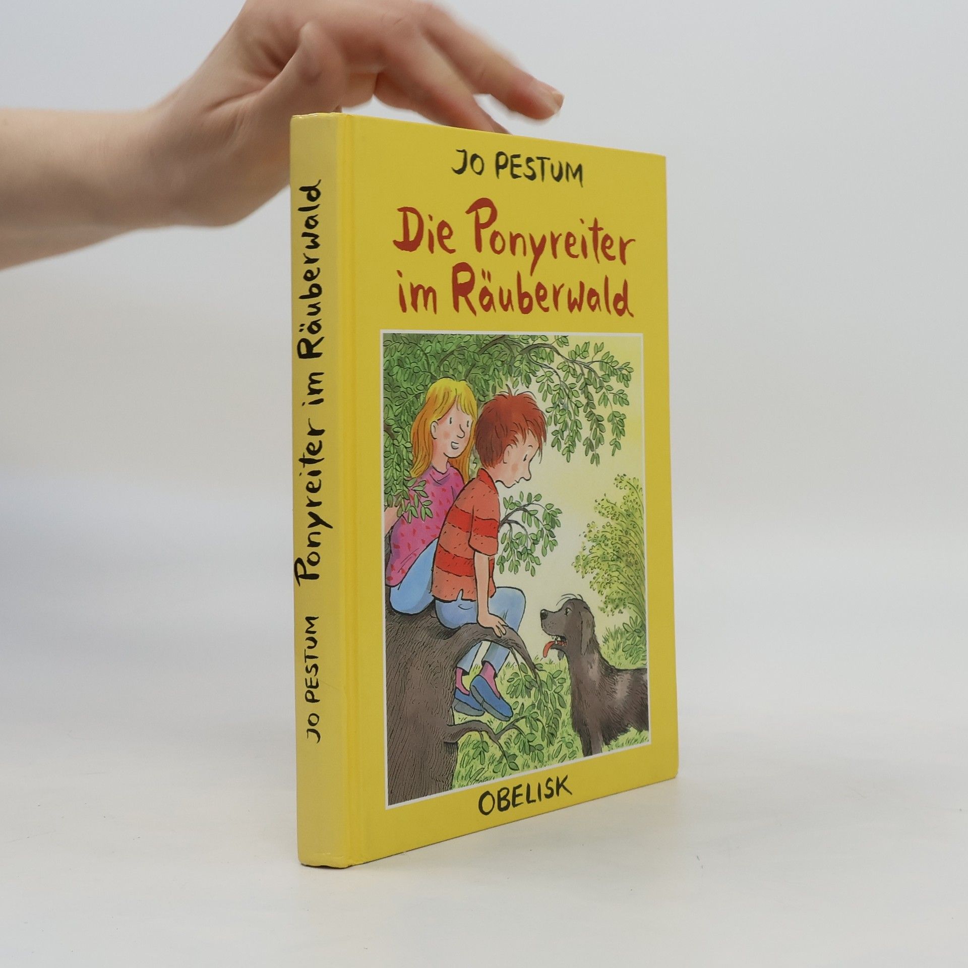 Jo Pestum Die Ponyreiter im Räuberwald