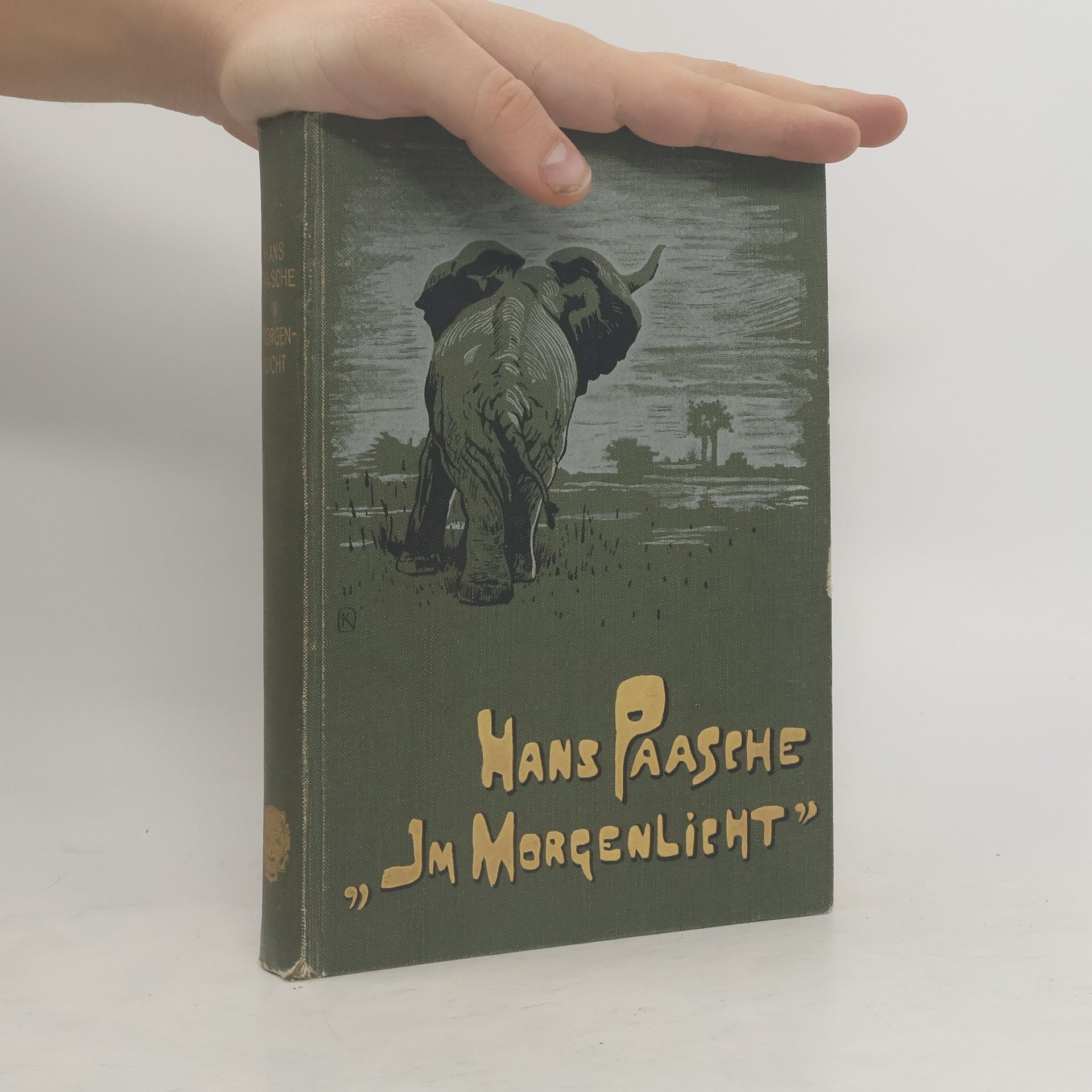 Hans Paasche Im Morgenlicht