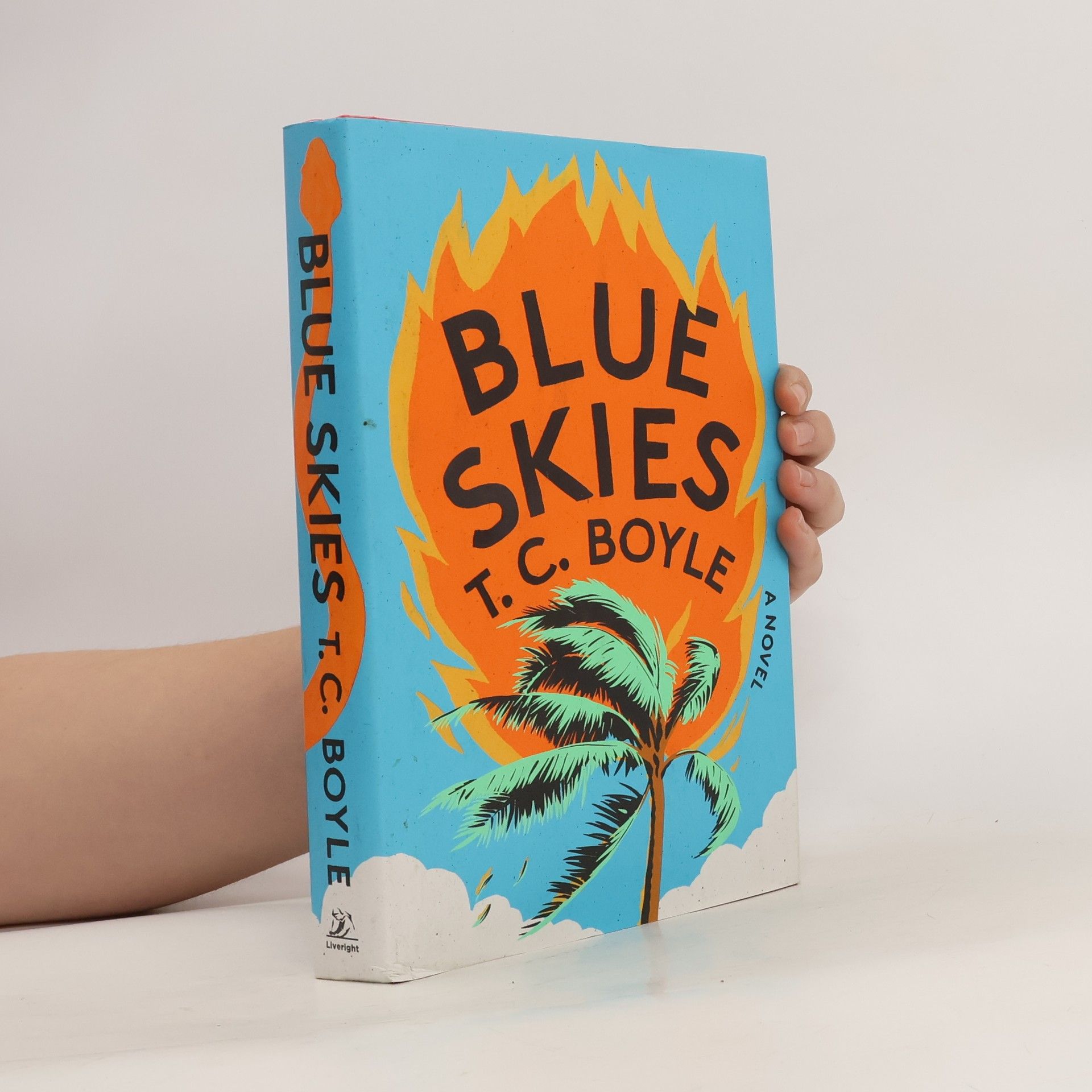 T. C. Boyle Blue Skies