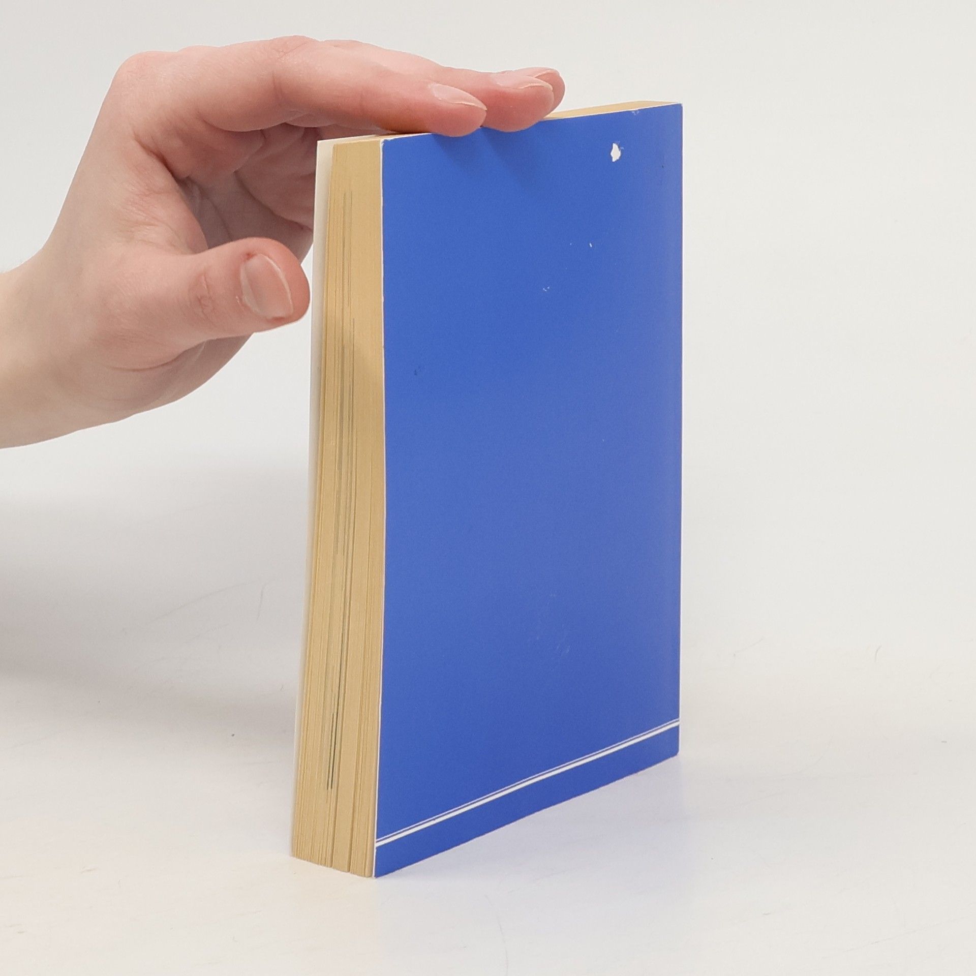kolektiv Das Blaue Buch