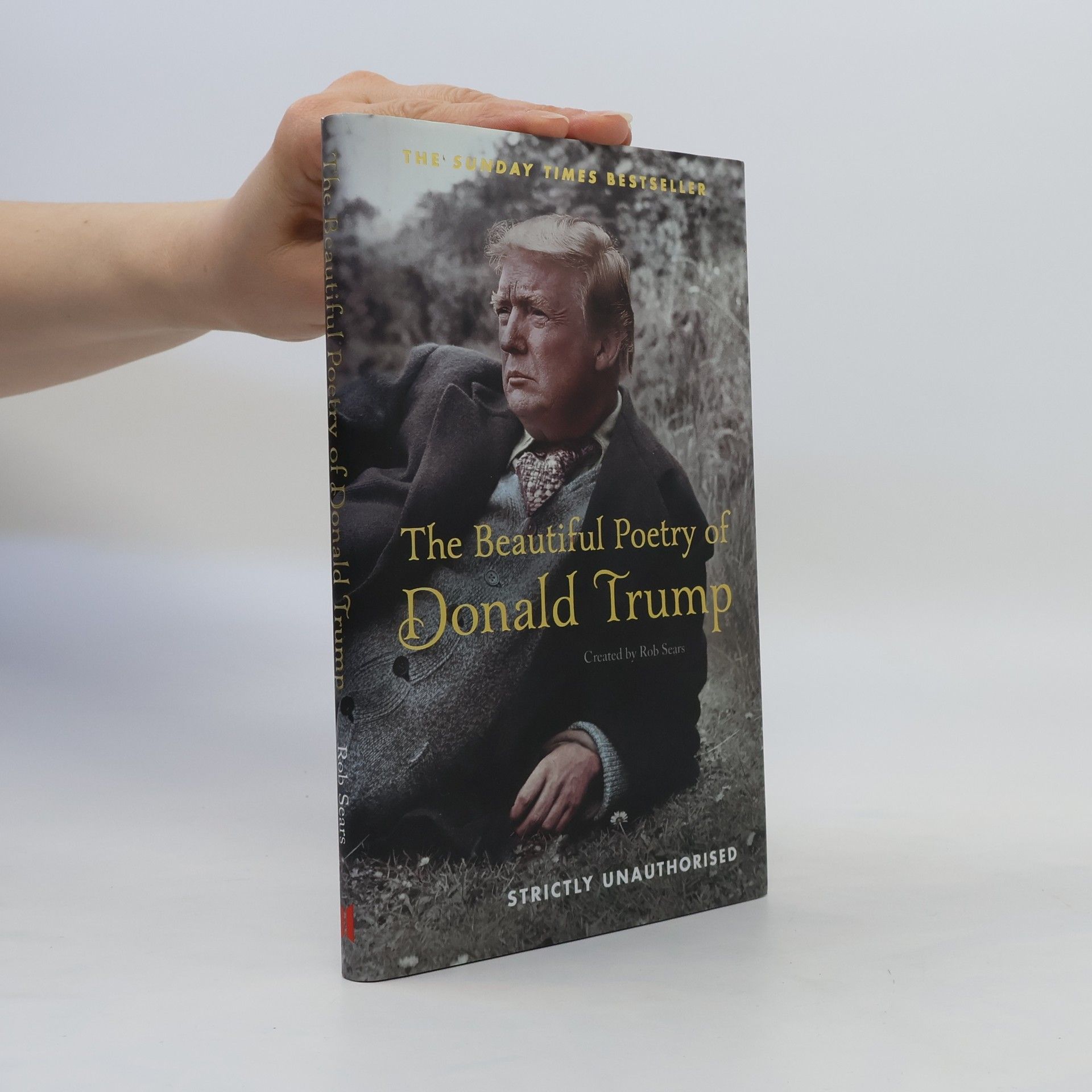 Robert Sears The Beautiful Poetry of Donald Trump