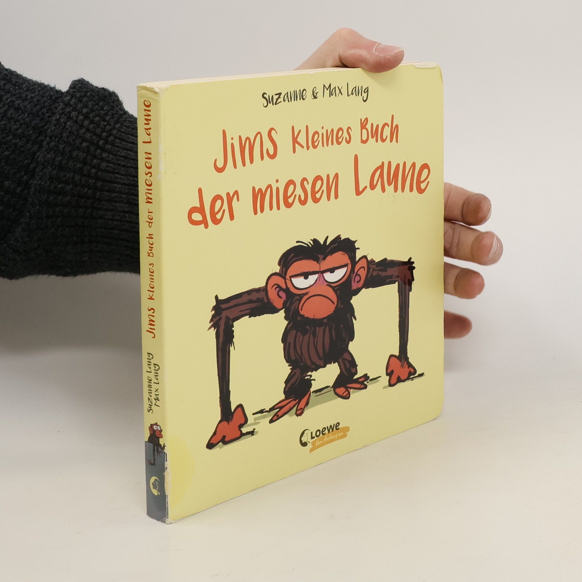 Suzanne Lang Jims kleines Buch der miesen Laune