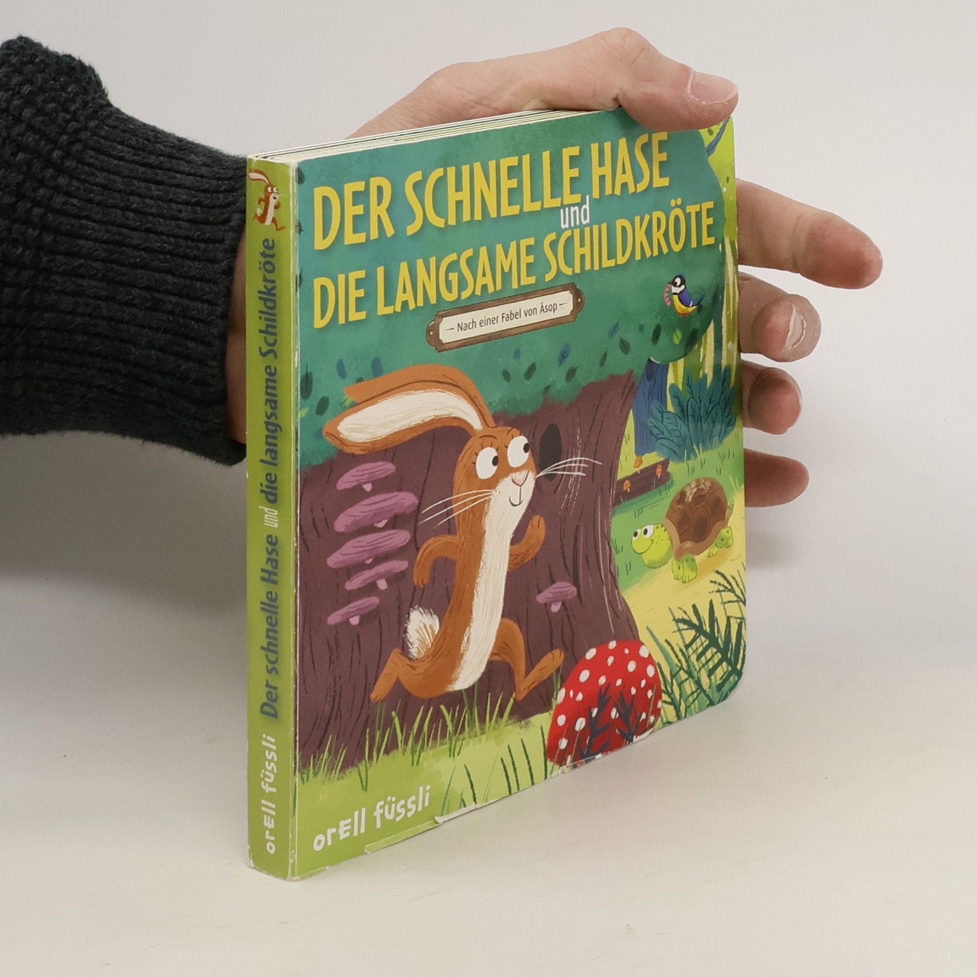 Annabel Blackledge Der schnelle Hase und die langsame Schildkröte
