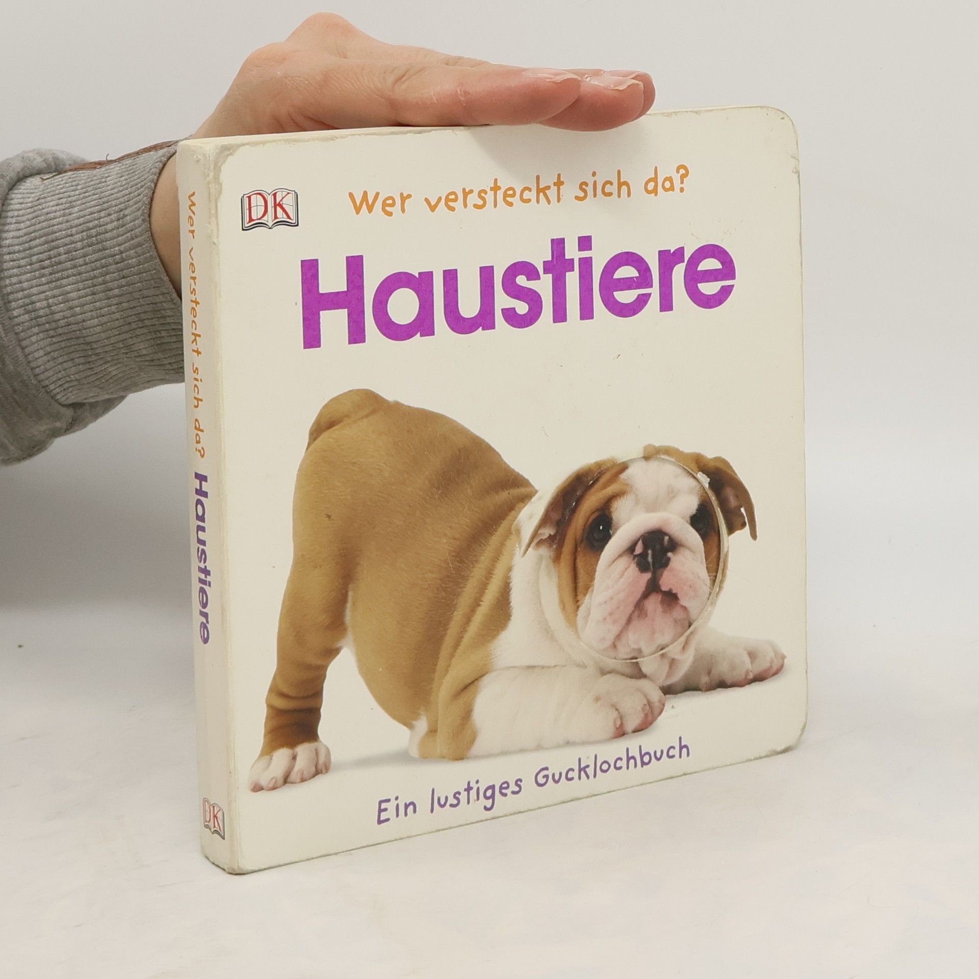 Sandra Grimm Wer versteckt sich da? Haustiere