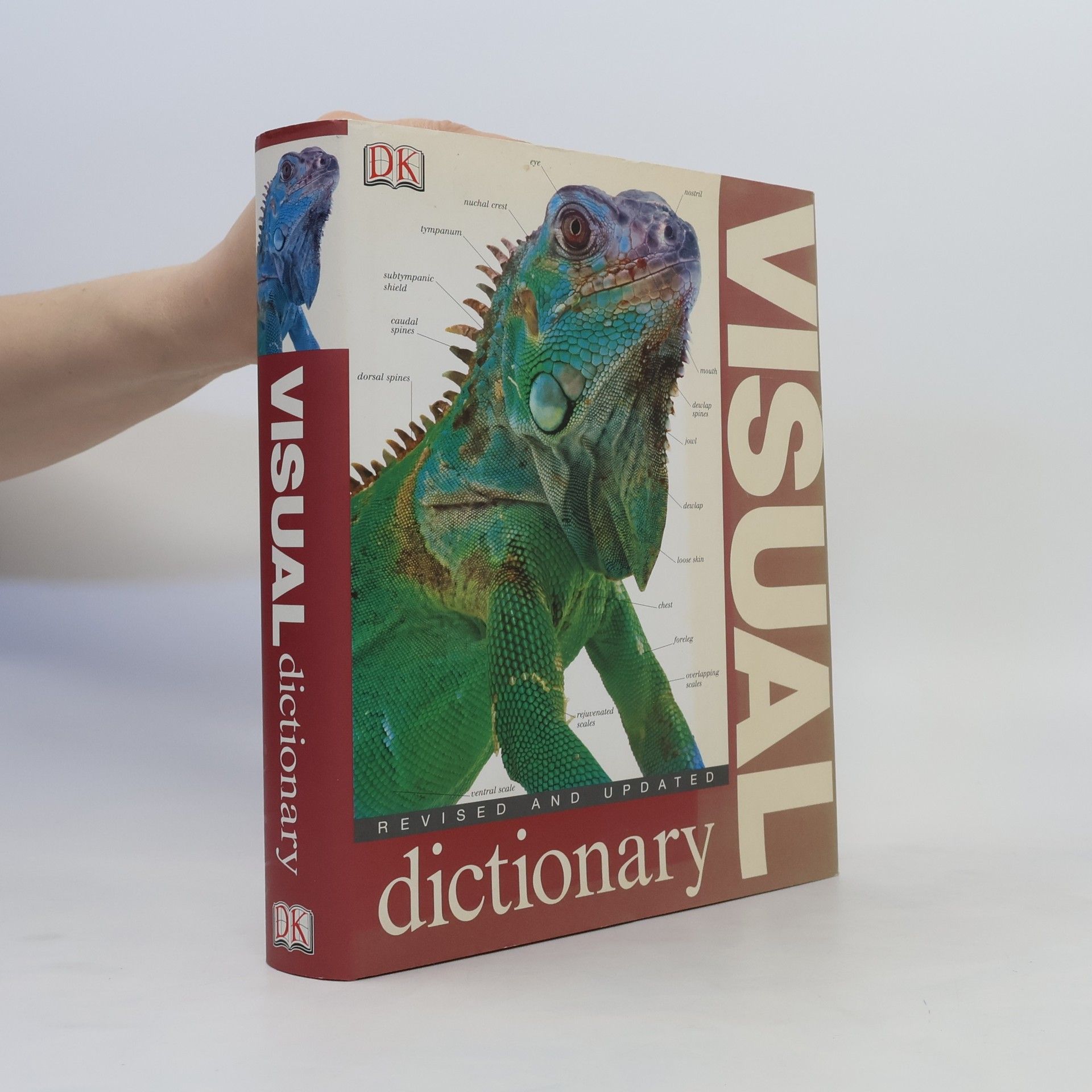 Jo Evans Visual Dictionary